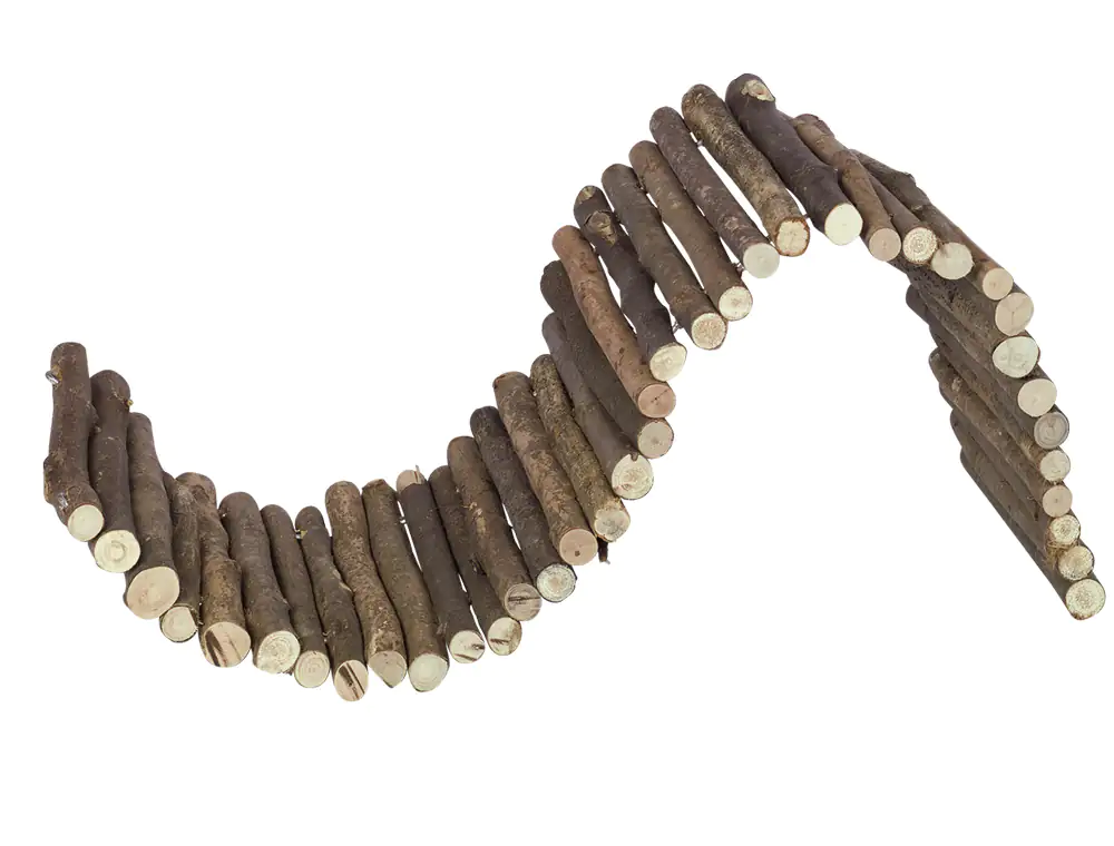 Nobby Nagerbrücke Woodland 72 x 19 cm