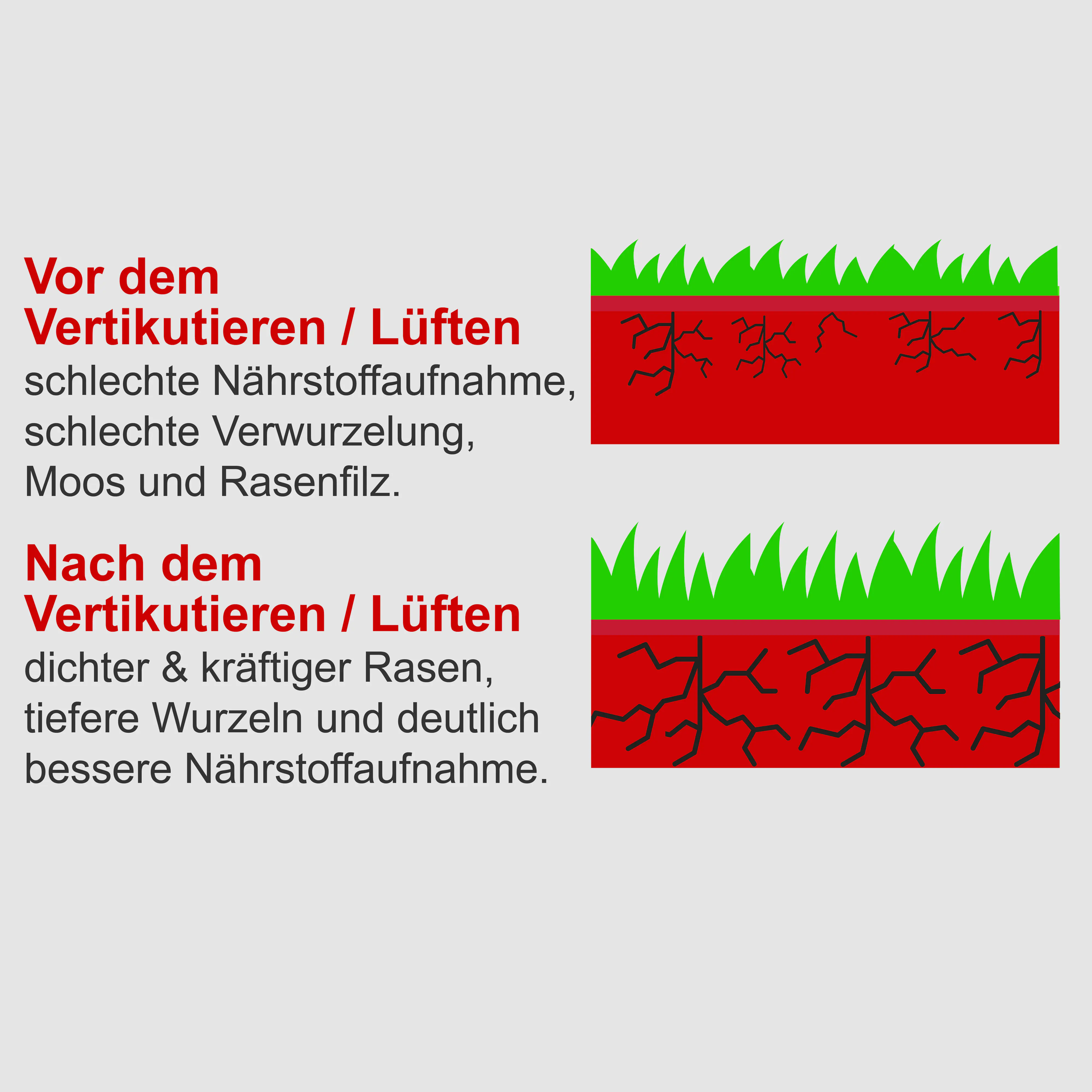 Scheppach Benzin-Vertikutierer SC55P 40 cm Arbeitsbreite Scheppach Benzin-Vertikutierer SC55P 40 cm Arbeitsbreite