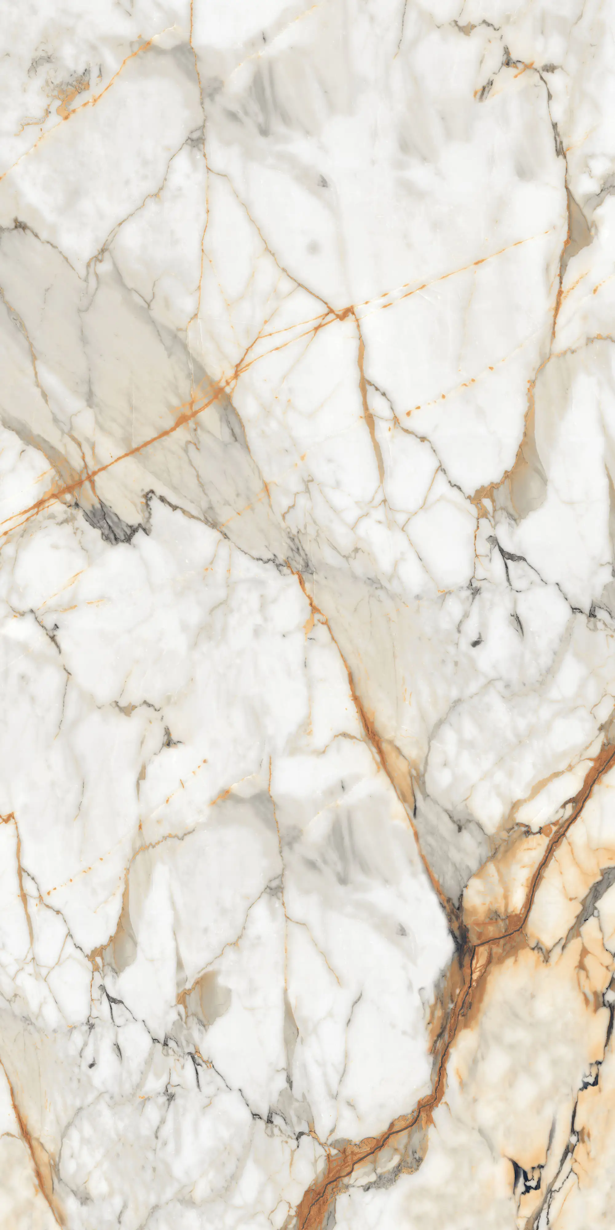 Bodenfliese Feinsteinzeug Visage Gold Plus 120 x 240 cm weiß