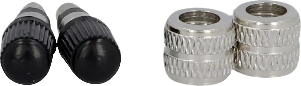 Fischer Fahrrad-Ventileinsätze Dunlop 2 Stück