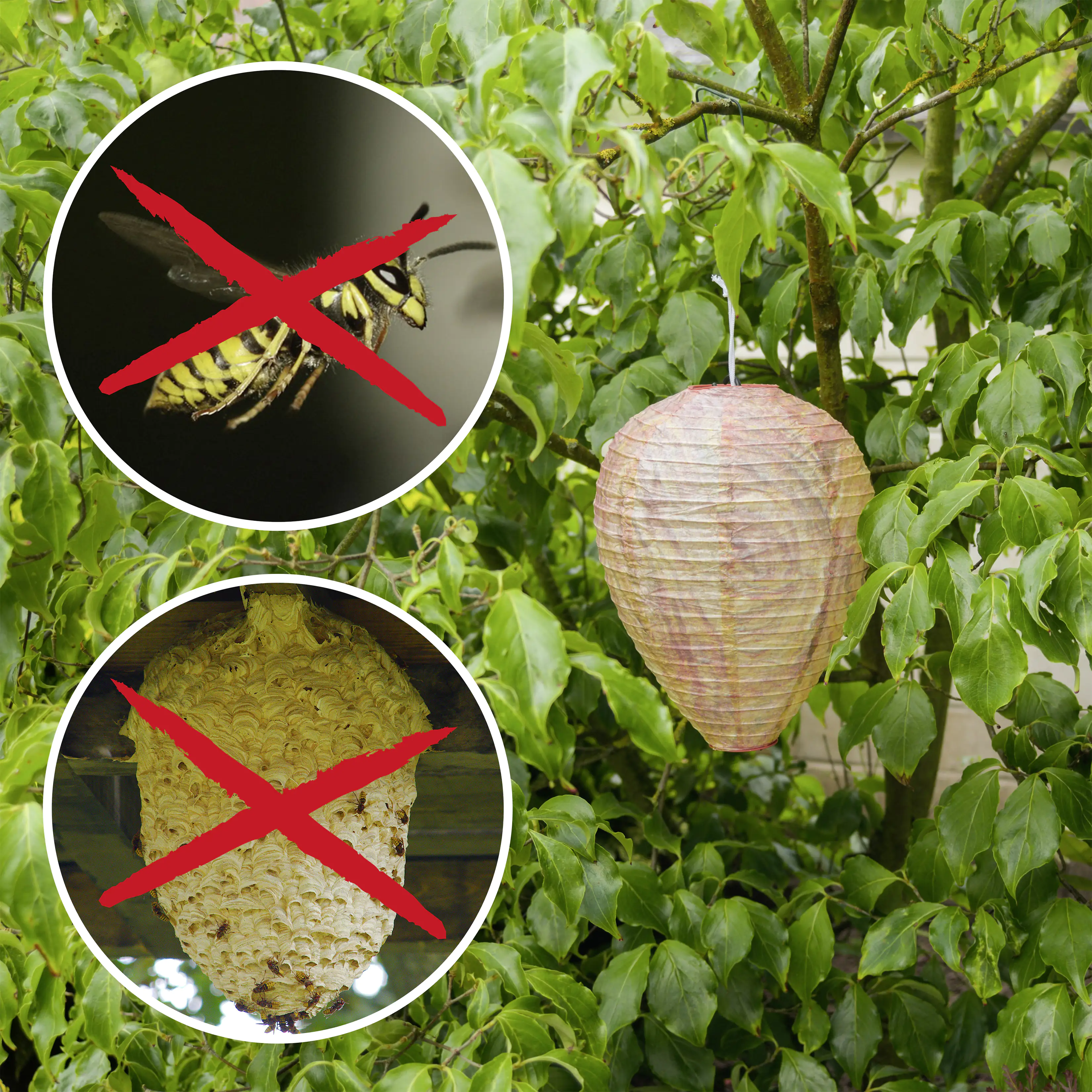 4260277265793_2495040 Gardigo Wespennest 2er-Set