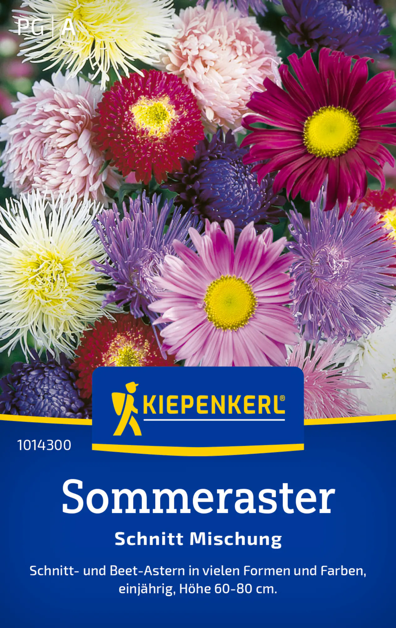 Kiepenkerl Saatgut Sommeraster Schnitt Mischung für ca. 50 Pflanzen