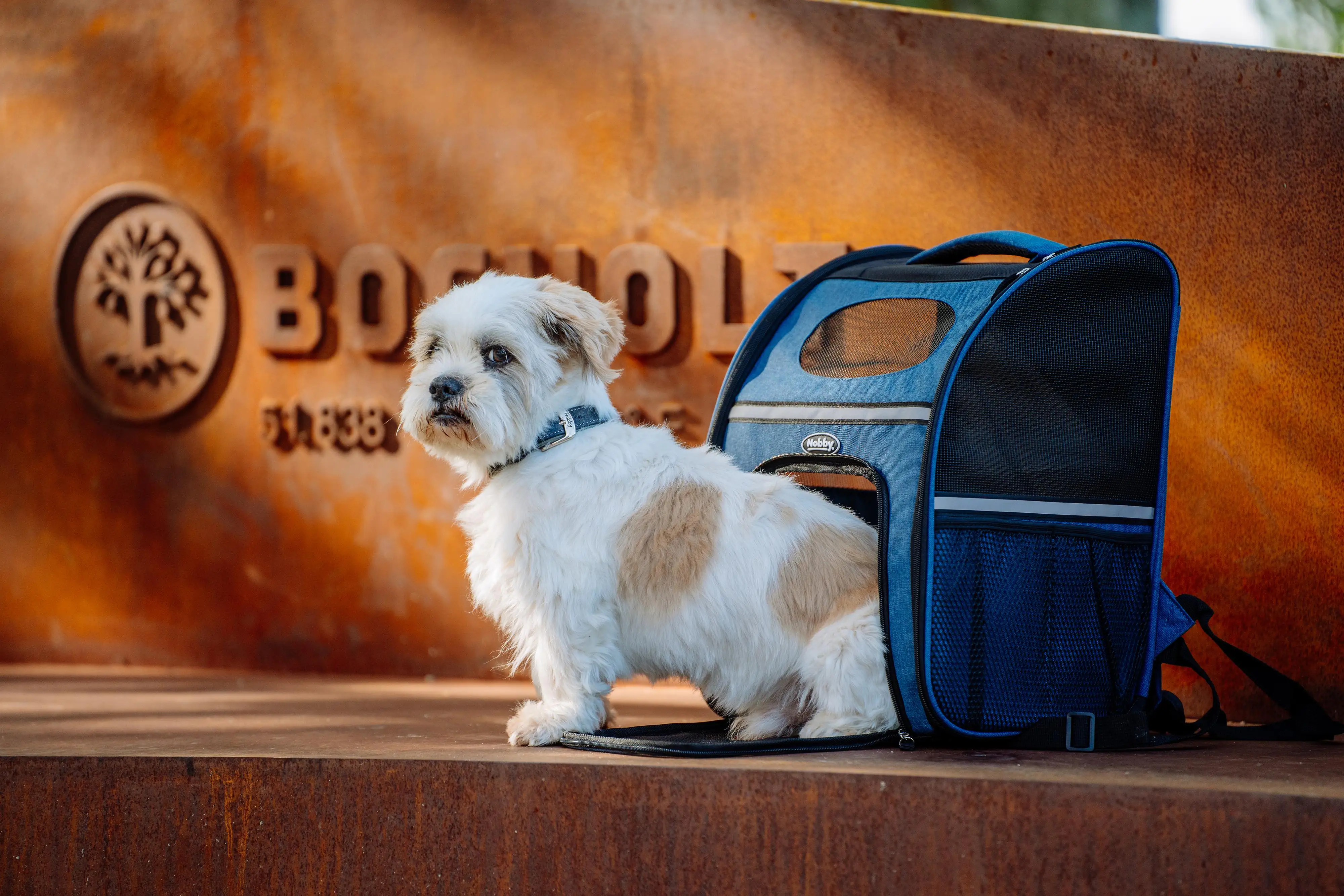 Nobby Tragerucksack Rana blau Nobby Tragerucksack Rana blau