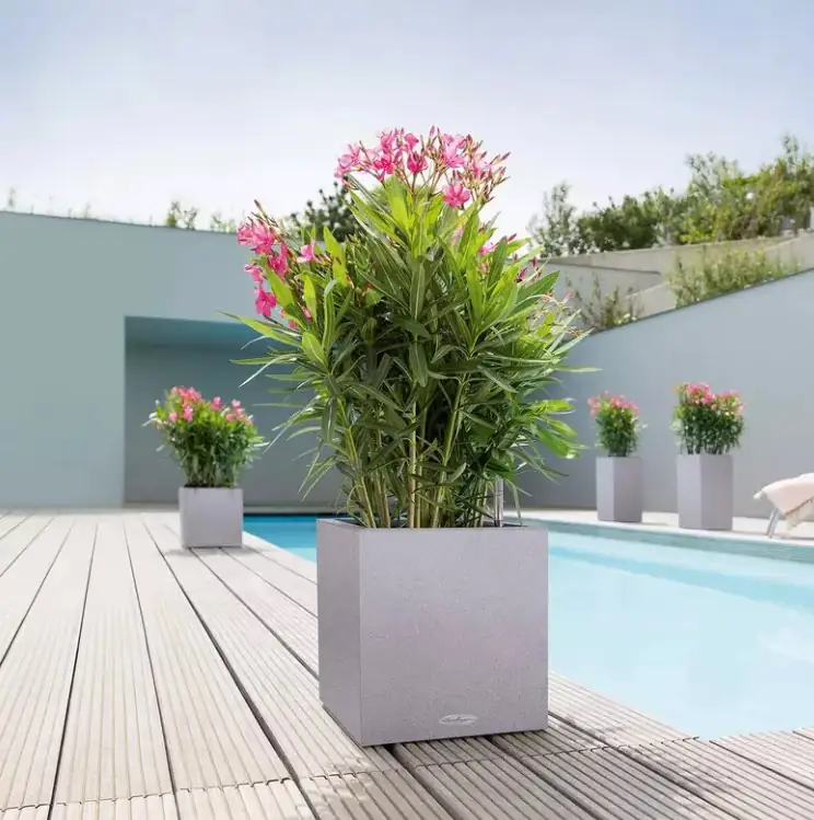 Lechuza Pflanzgefäß Canto Stone 30 low steingrau