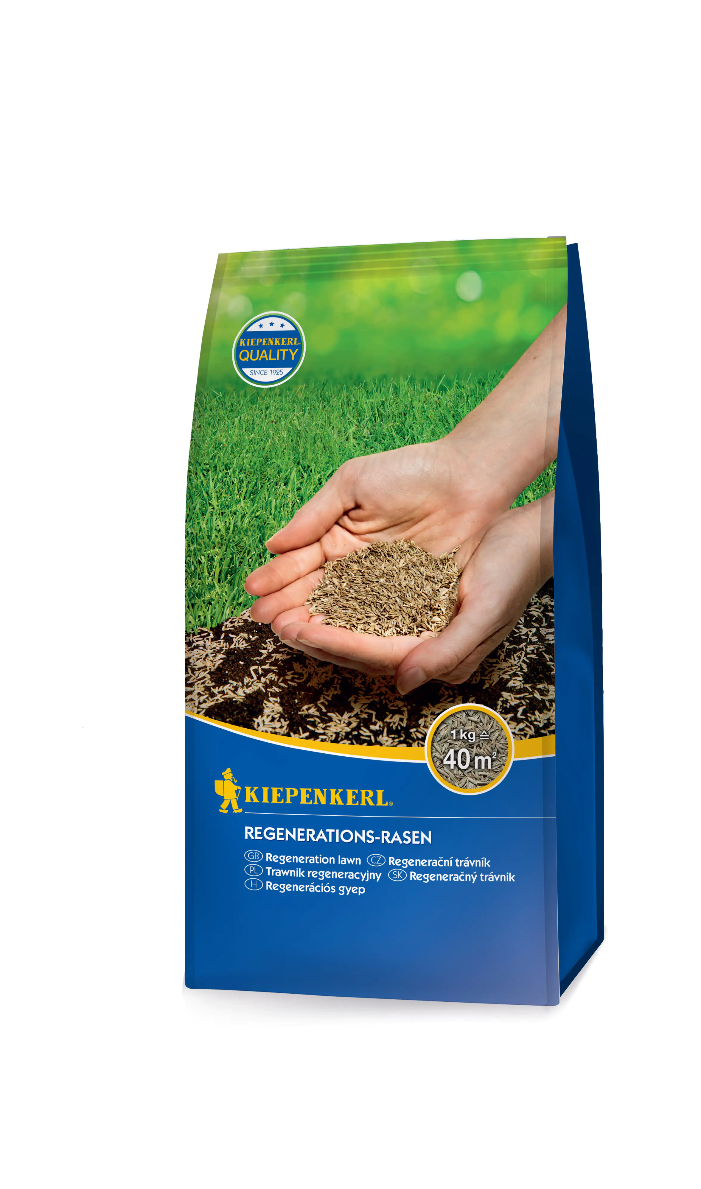 Kiepenkerl Rasensamen Regeneration 1 kg, für 40 m²