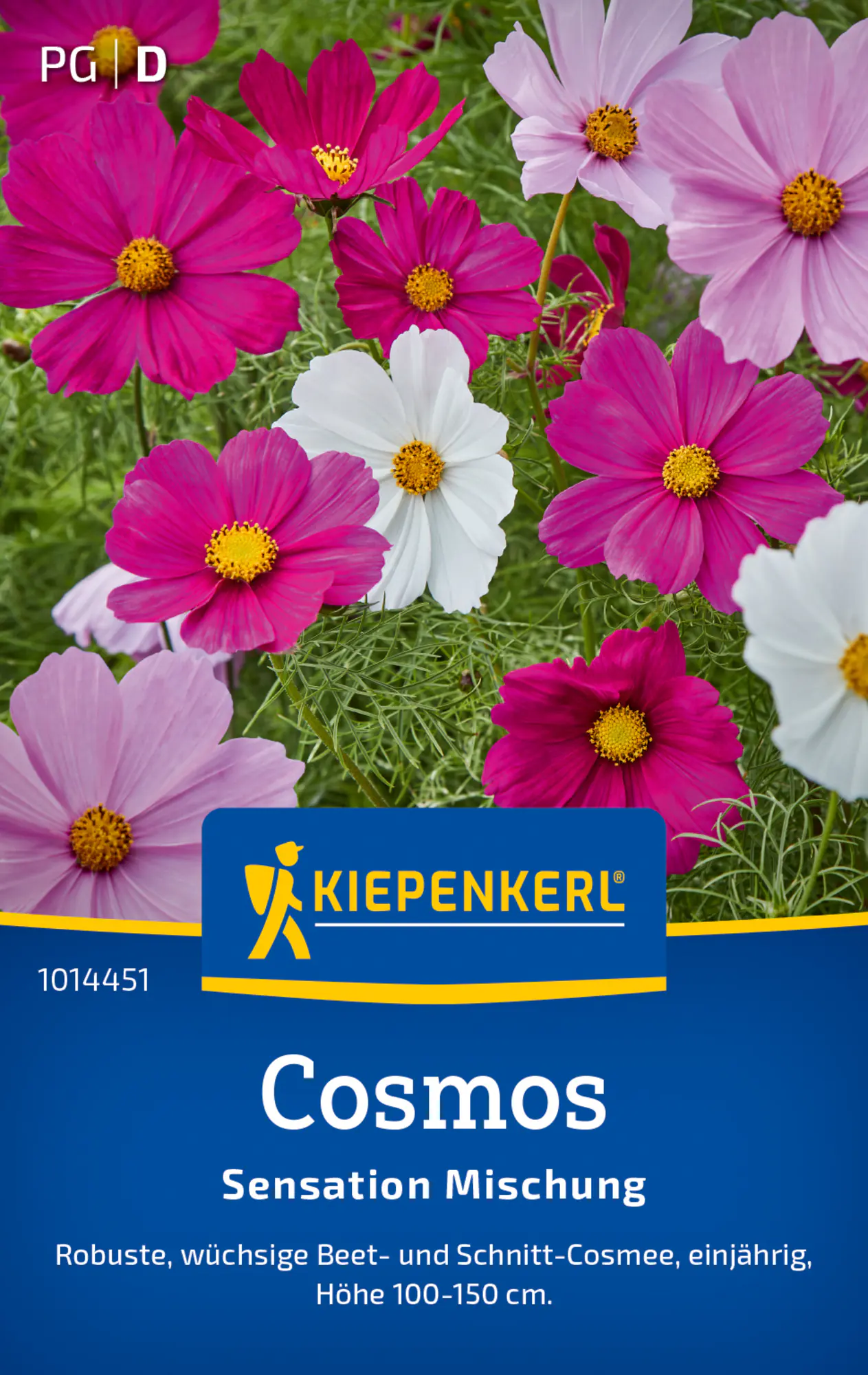 Kiepenkerl Blumensamen Cosmos Sensation Mischung für ca. 40 Pflanzen