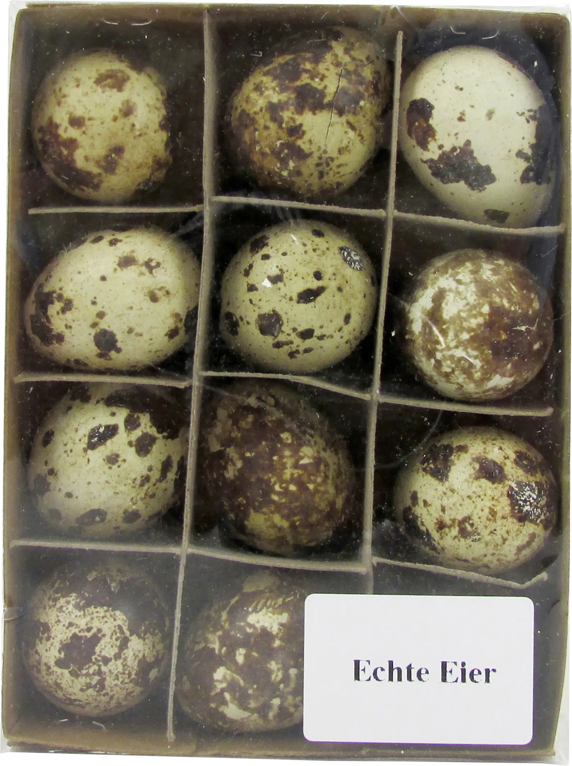 Wachteleier echt 3 cm 12 Stück 