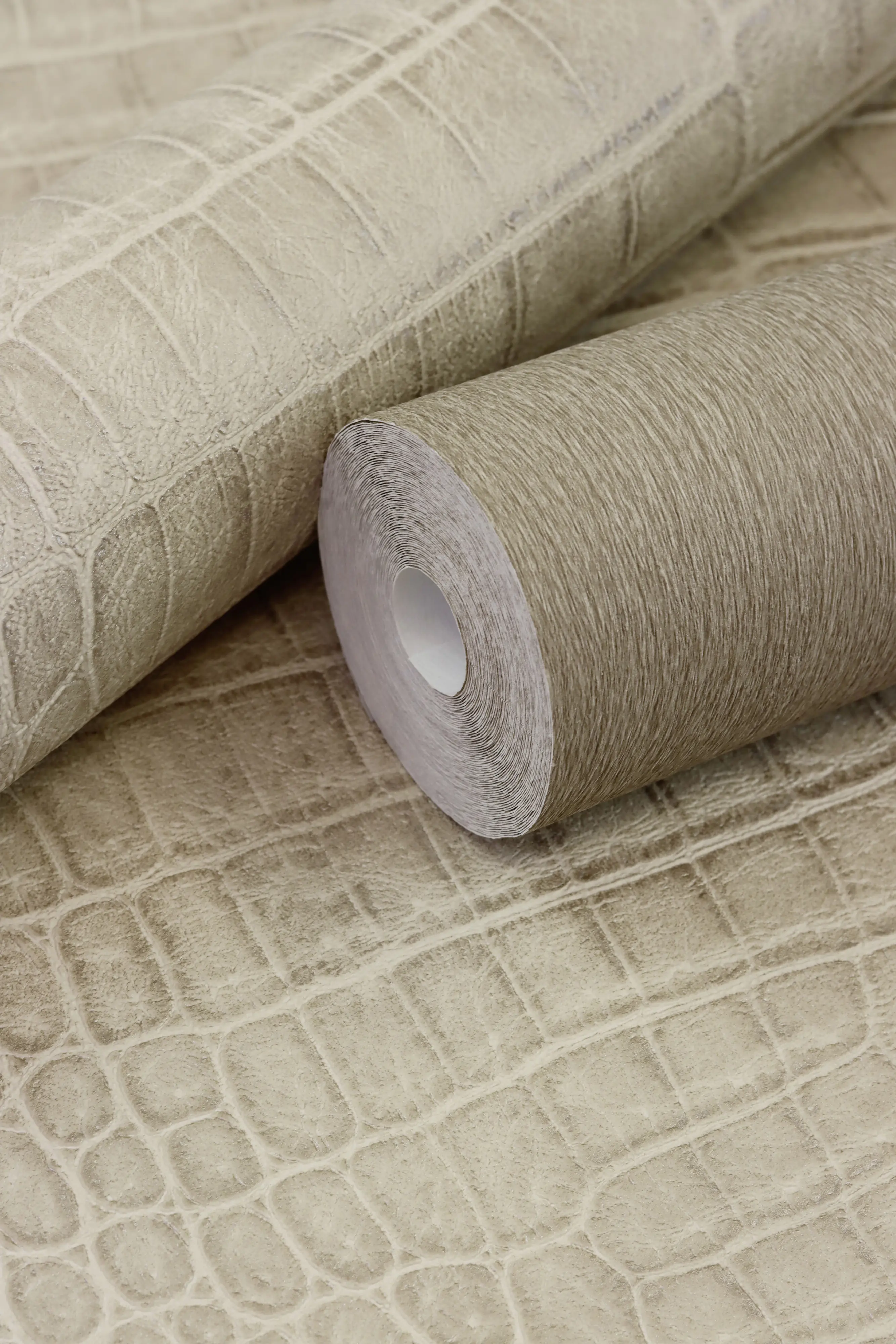 Rasch Vliestapete 751055 Braun-Hellbraun Uni 10,05 m x 0,53 m