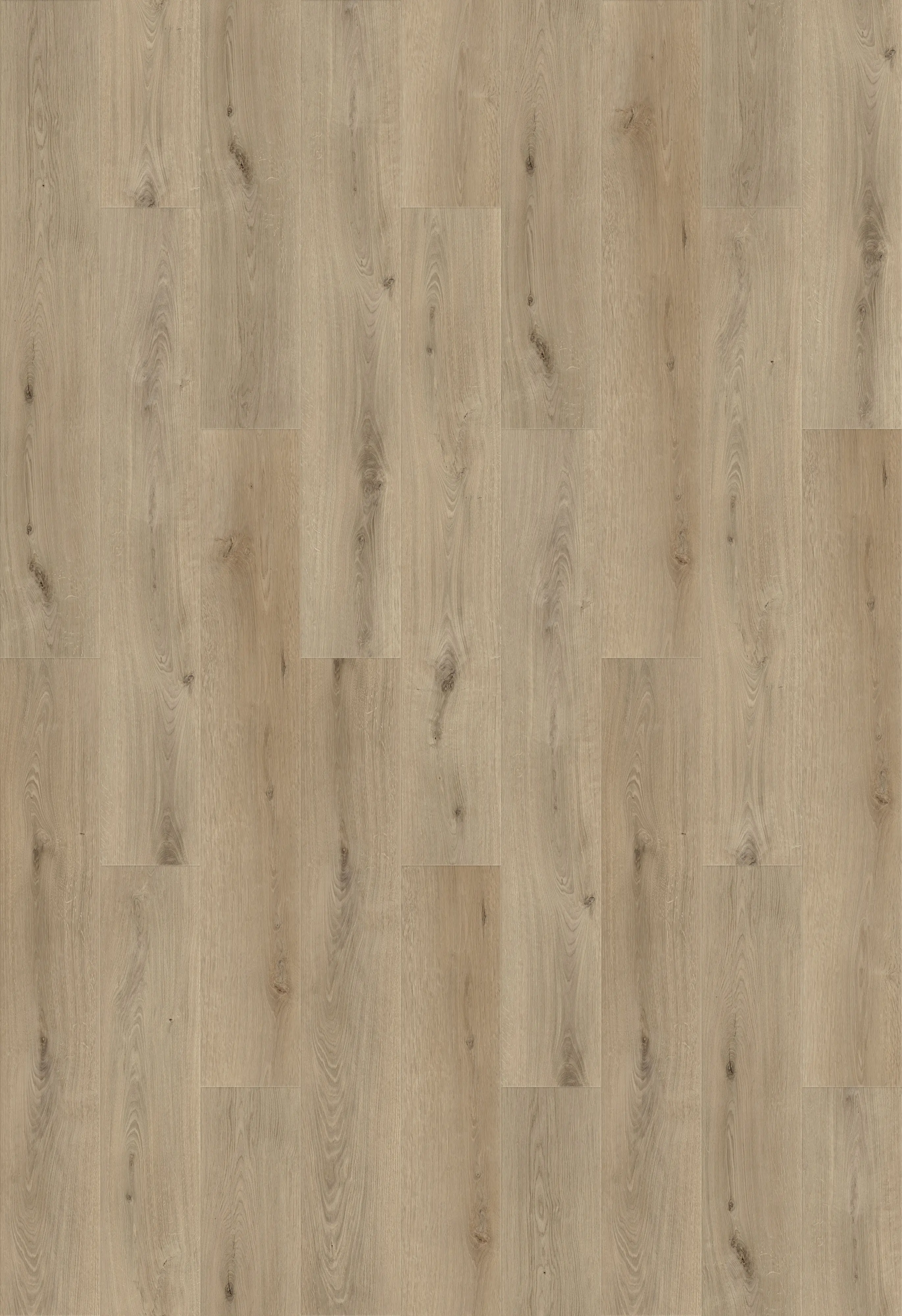 Decoflooring Vinylboden Dryback Oak Rustic Light
