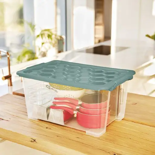 Rotho Aufbewahrungsbox EVO Safe inkl. Deckel 44 L Mistletoe grün