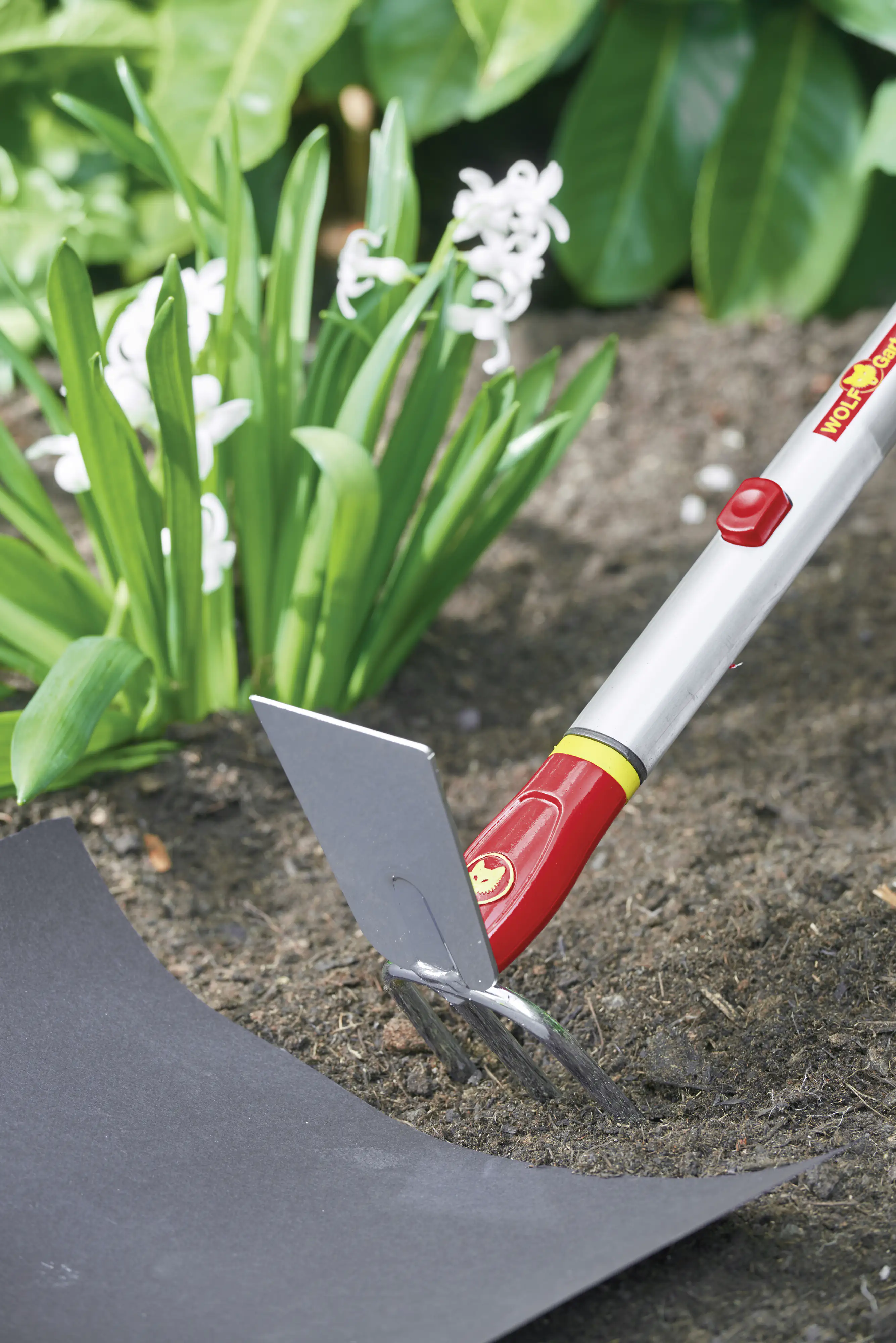 Wolf Garten Doppelhacke IL-M 3 Multi-Star, 8 cm Arbeitsbreite