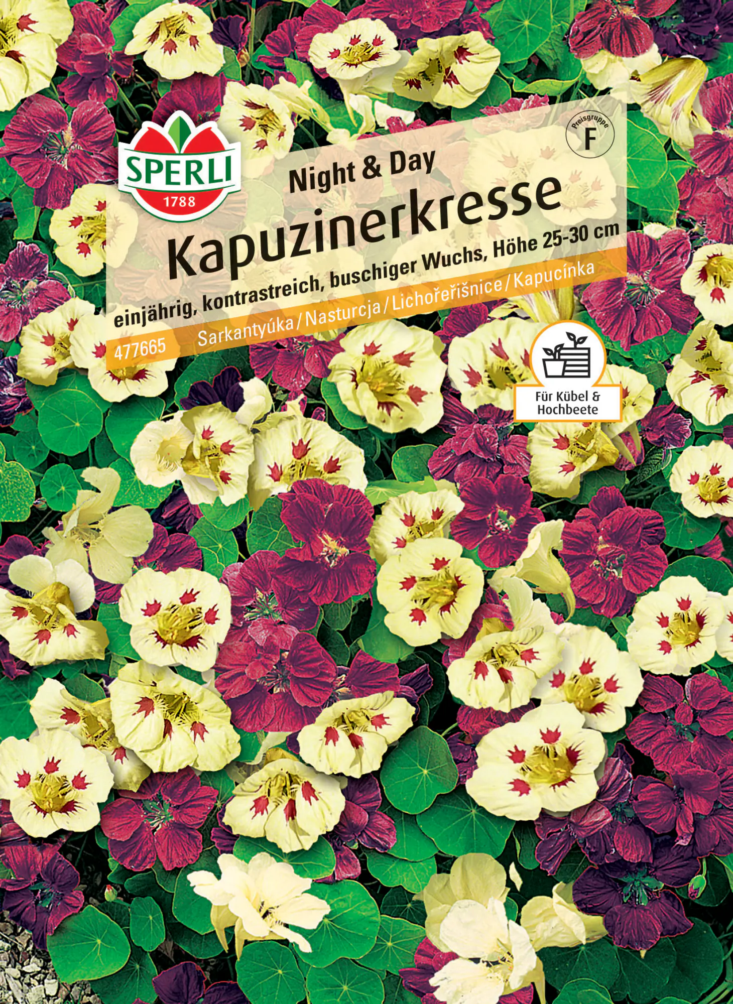 Sperli Kapuzinerkresse Night & Day