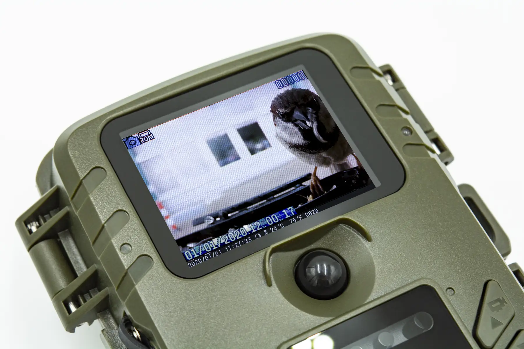 4260358124209_1 Technaxx Vogelkamera Birdcam TX-165 Full HD, Nachtmodus