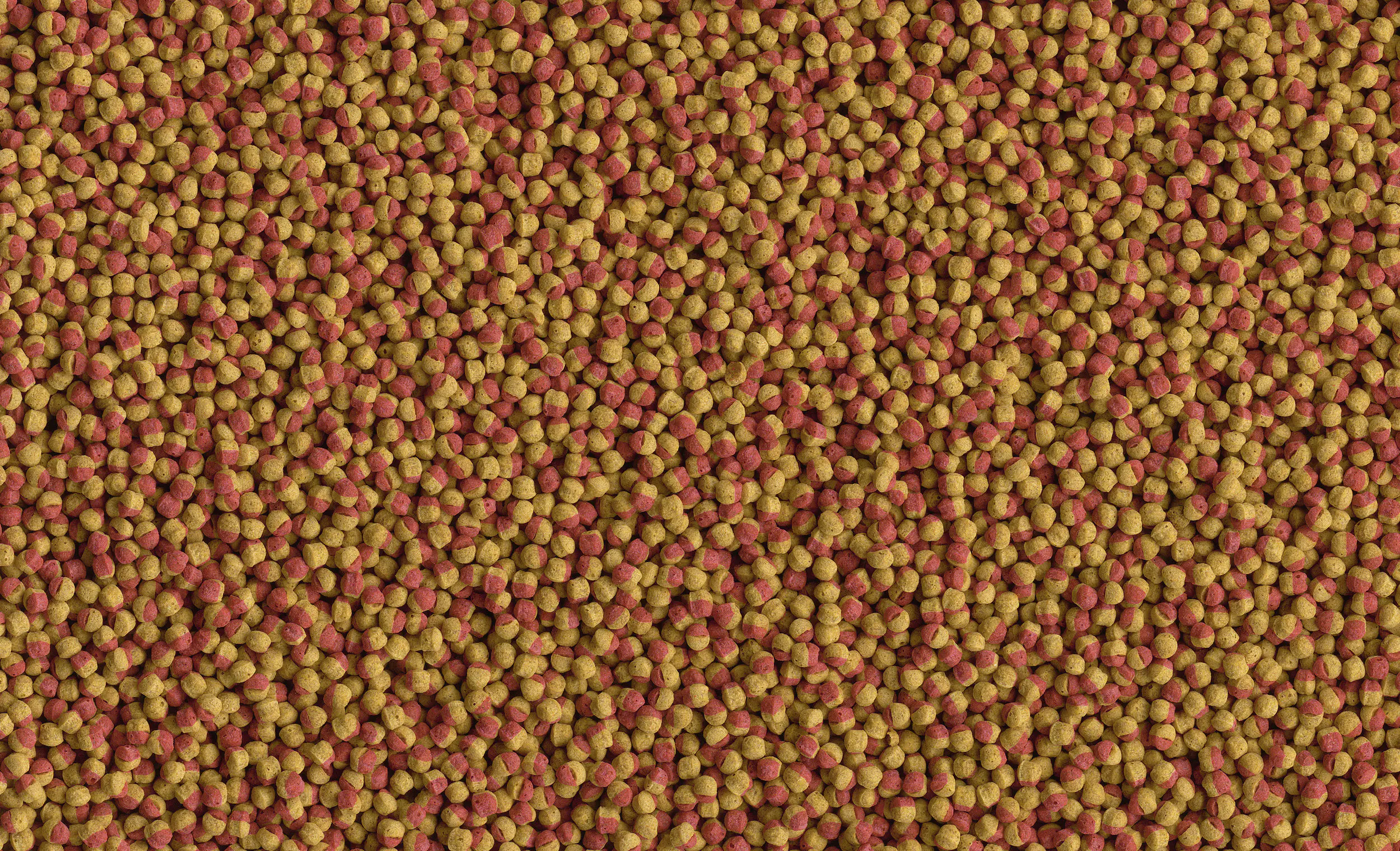 Tetra Cichlid Colour 500 ml