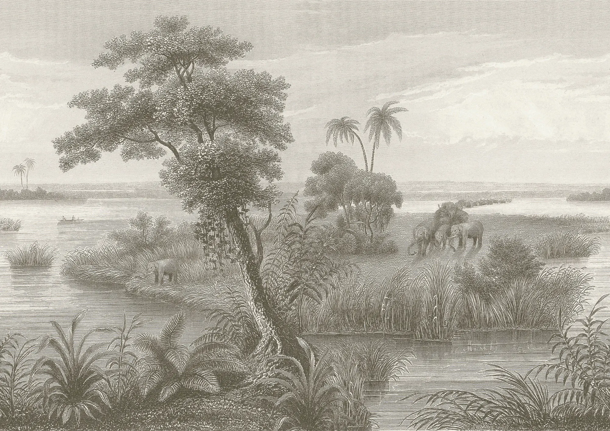 Rasch Vlies Fototapete 556155 Braun-Hellbraun Muster & Motive 3 m x 4,24 m