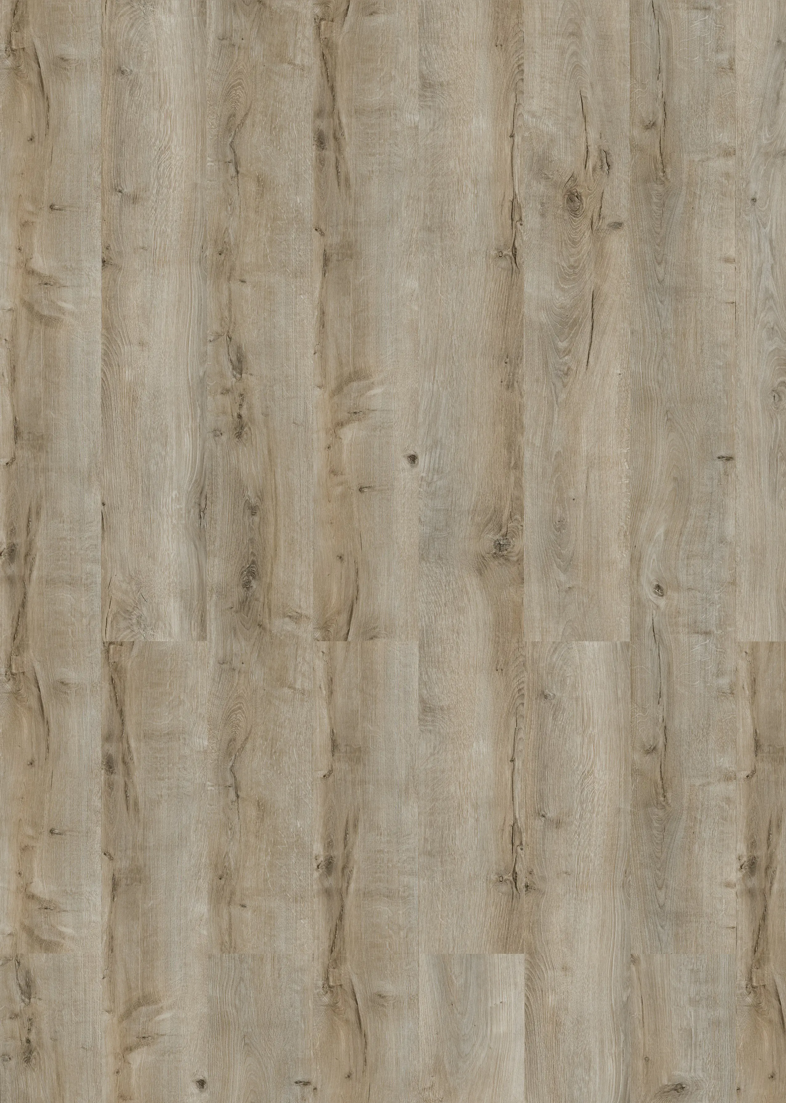 Classen Laminat Megaloc Aquaprotect 128,5 x 19,2 cm 8 mm Oak beige