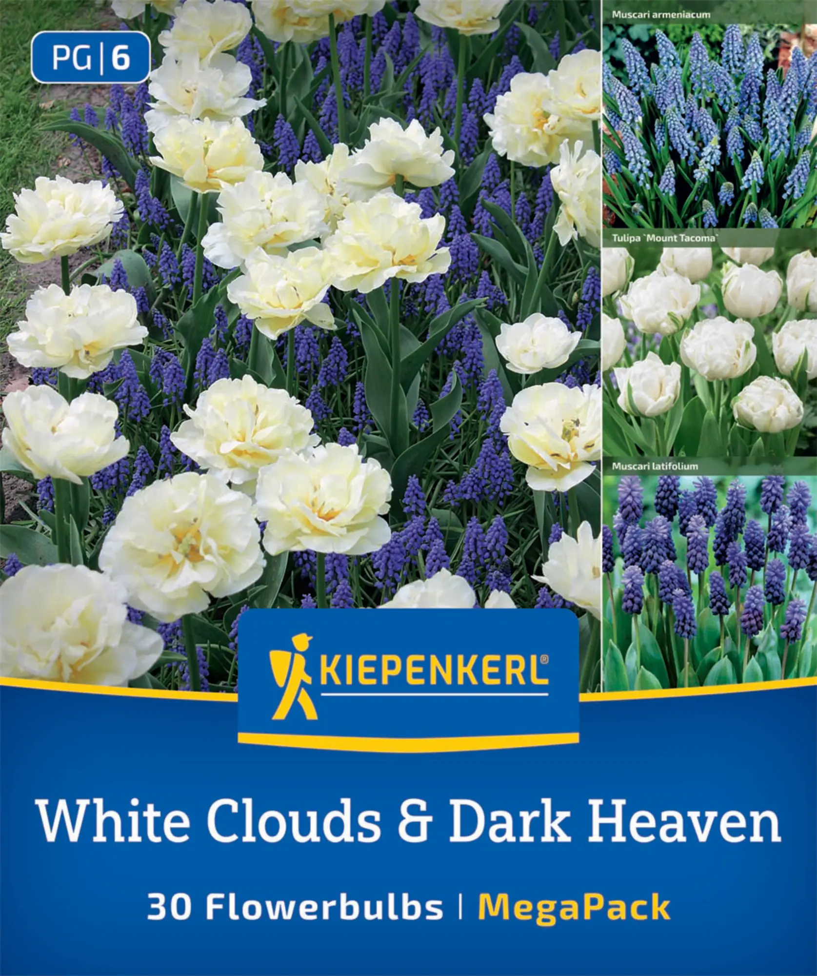 Kiepenkerl Herbstblumenzwiebel Artenmischung White Cloud & Dark Heaven Mix 30 Stück