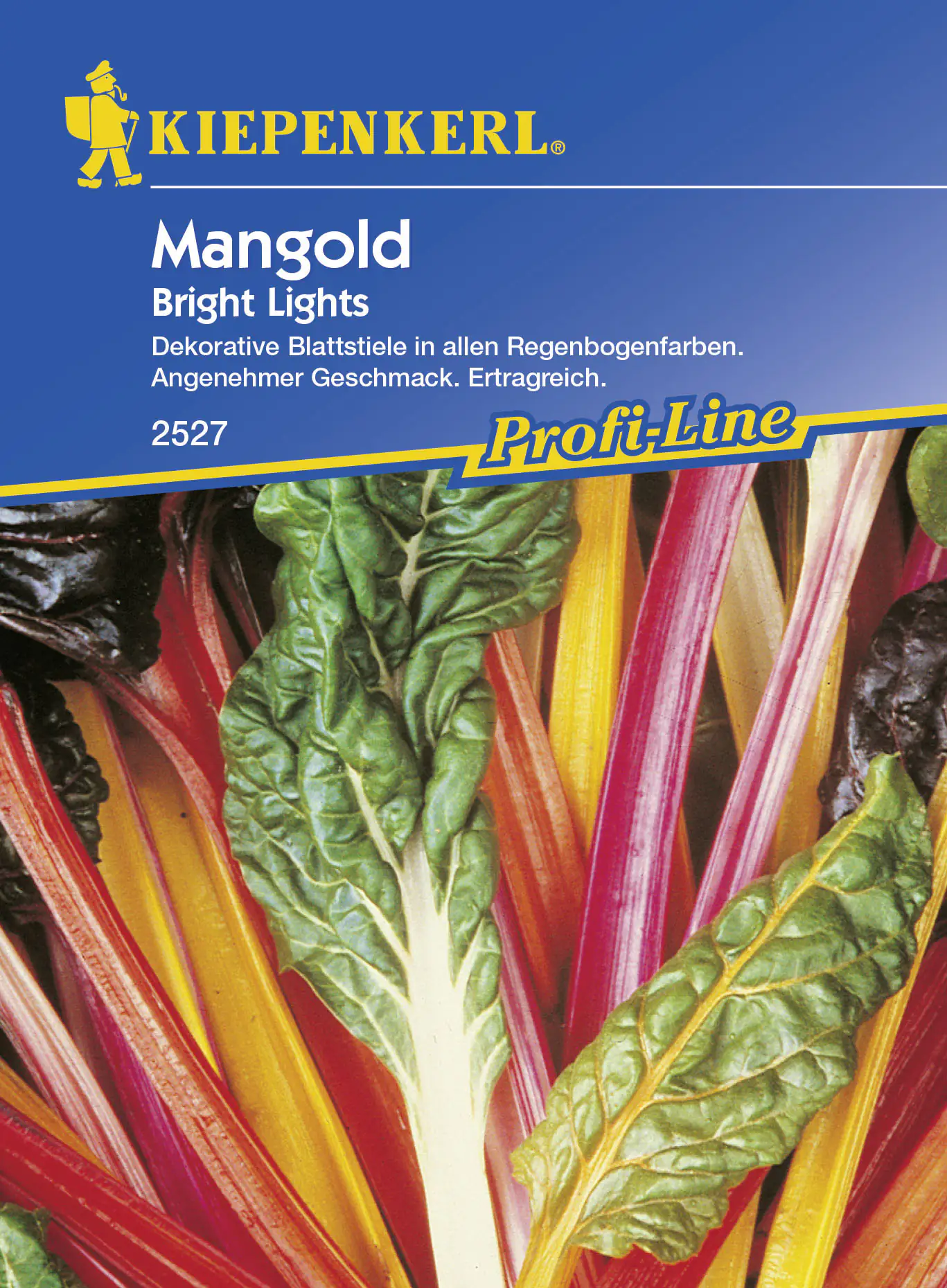 Kiepenkerl Mangold Bright Lights Beta vulgaris var. vulgaris, Inhalt: ca. 50 Pflanzen