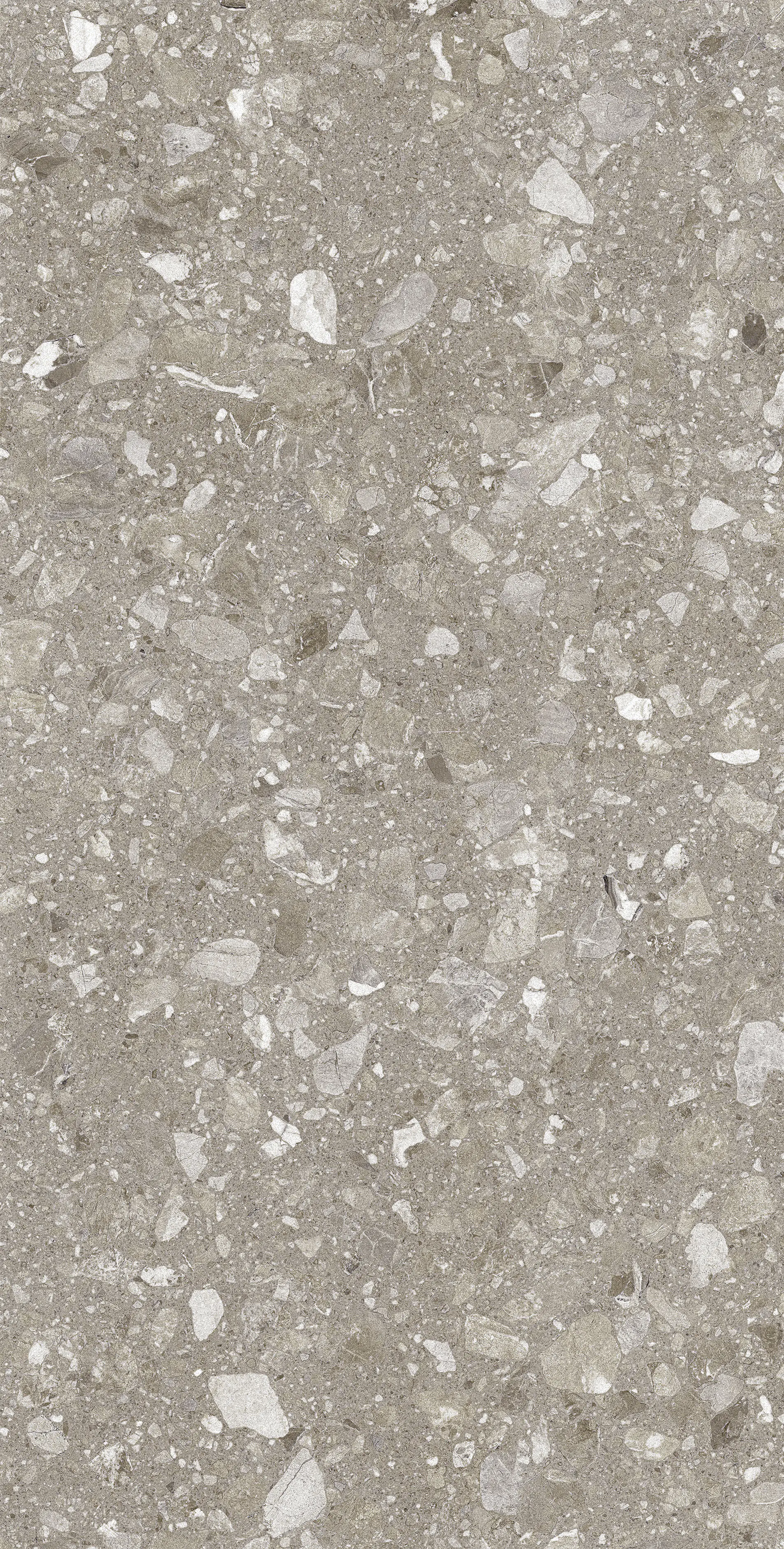 Bodenfliese Feinsteinzeug Terra 60 x 120 cm greige