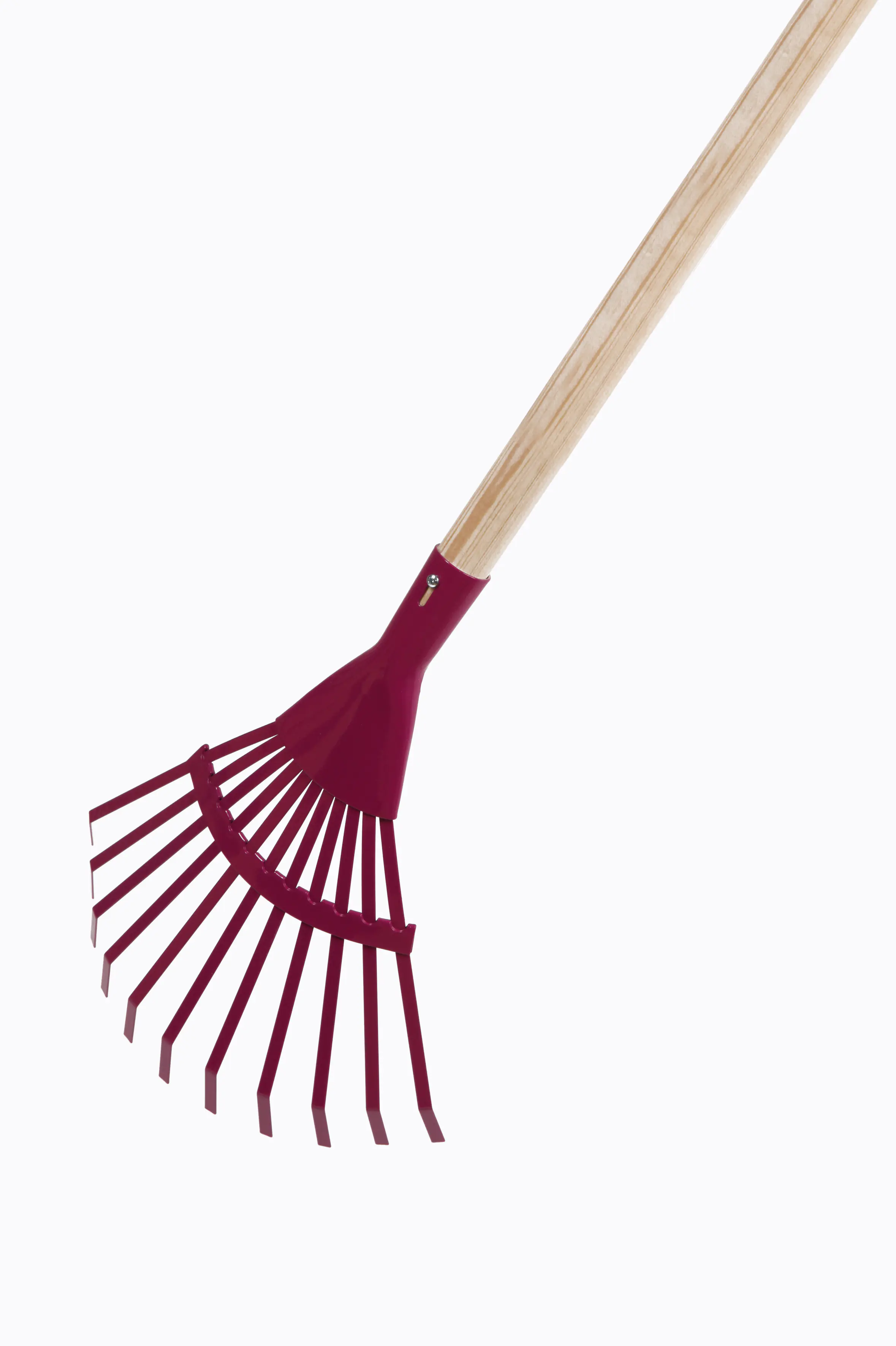 Floraworld Fächerbesen für Kinder mit Stiel 35 cm Arbeitsbreite