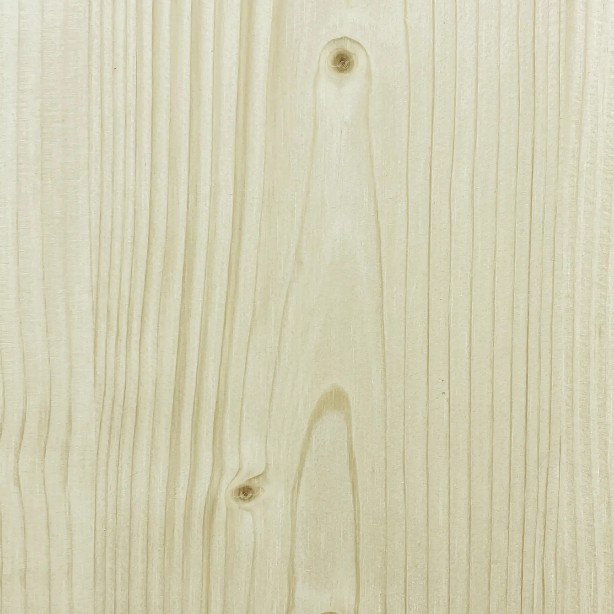 FN Neuhofer Flachleiste 240 cm 5 x 5 mm Fichte/Kiefer