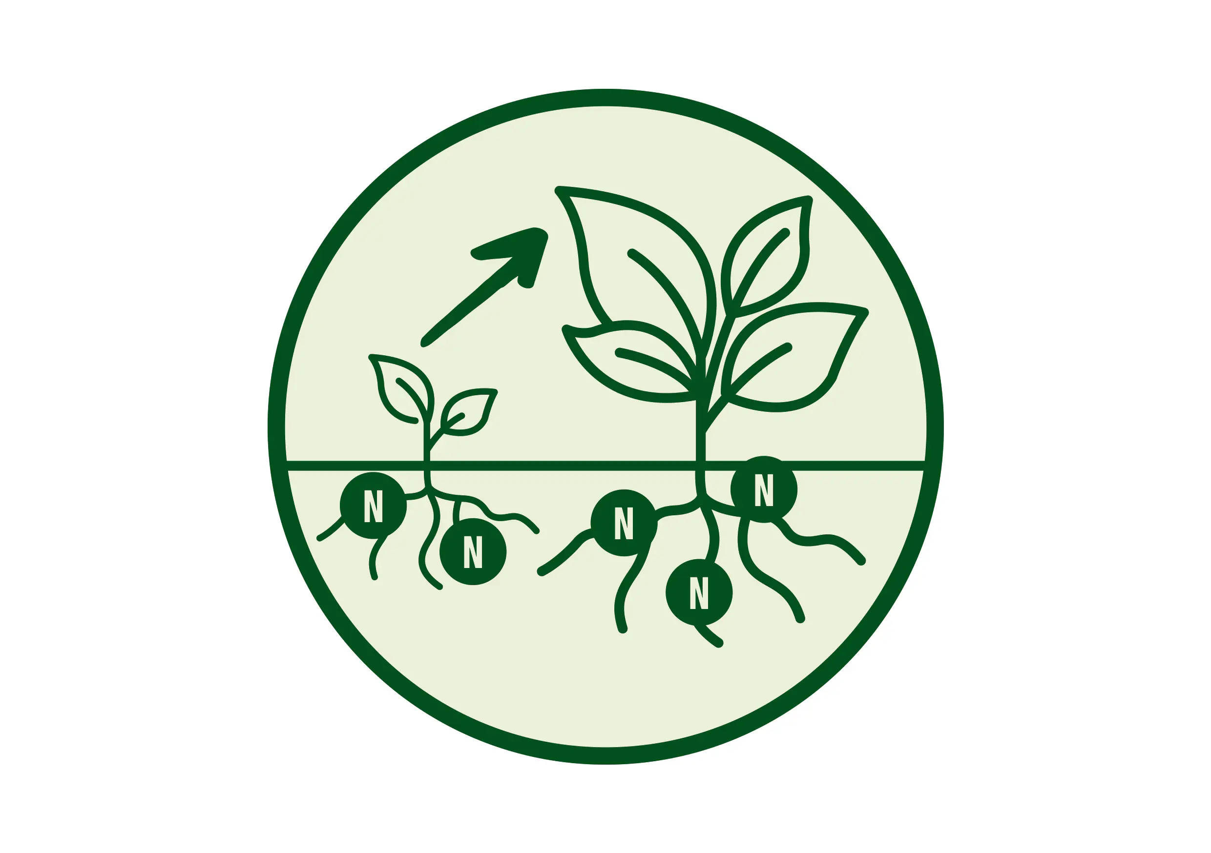 Compo Flüssigdünger Booster für torffreie Erden 500 ml