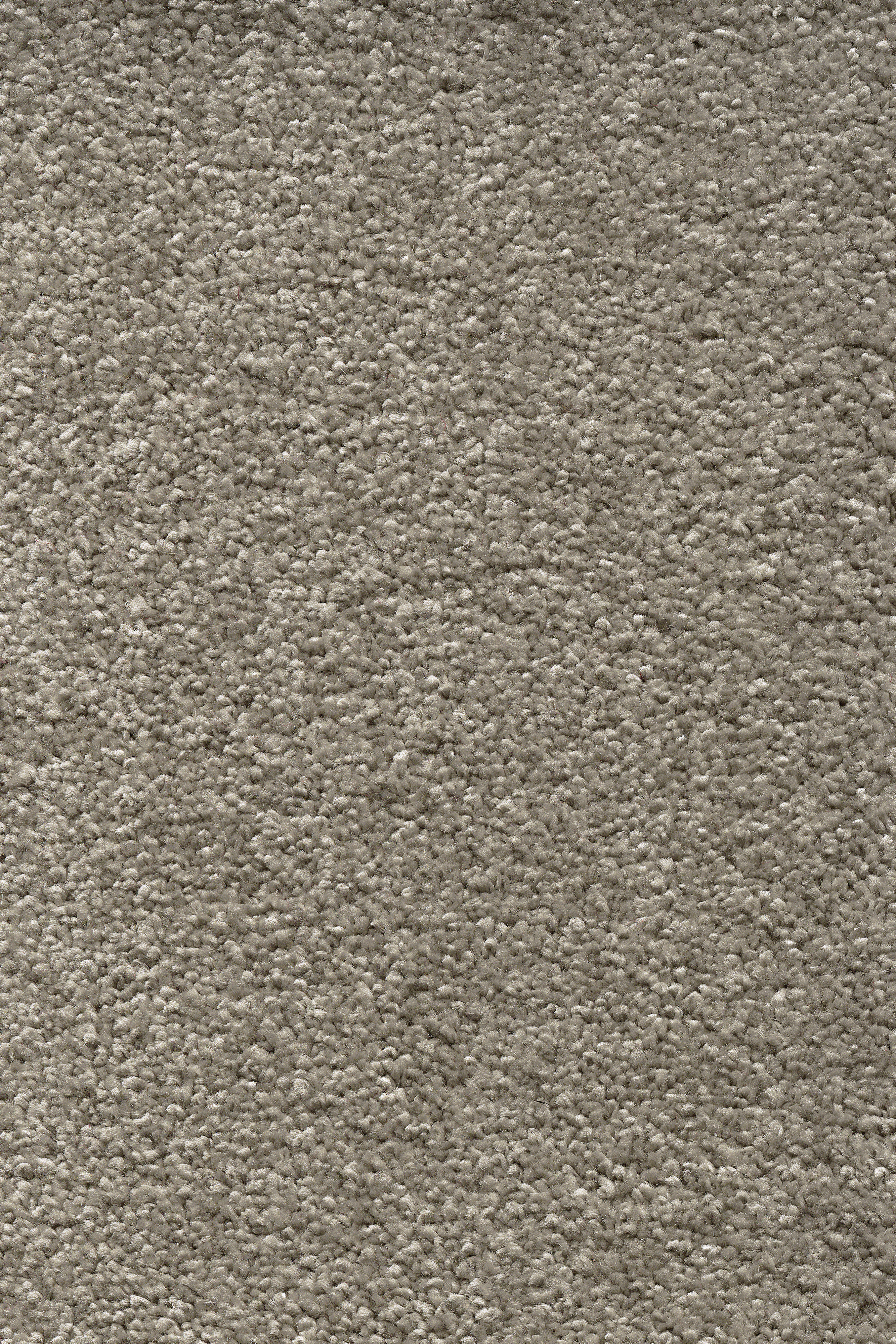 Teppichboden Ella schlamm 4 m breit (Meterware)