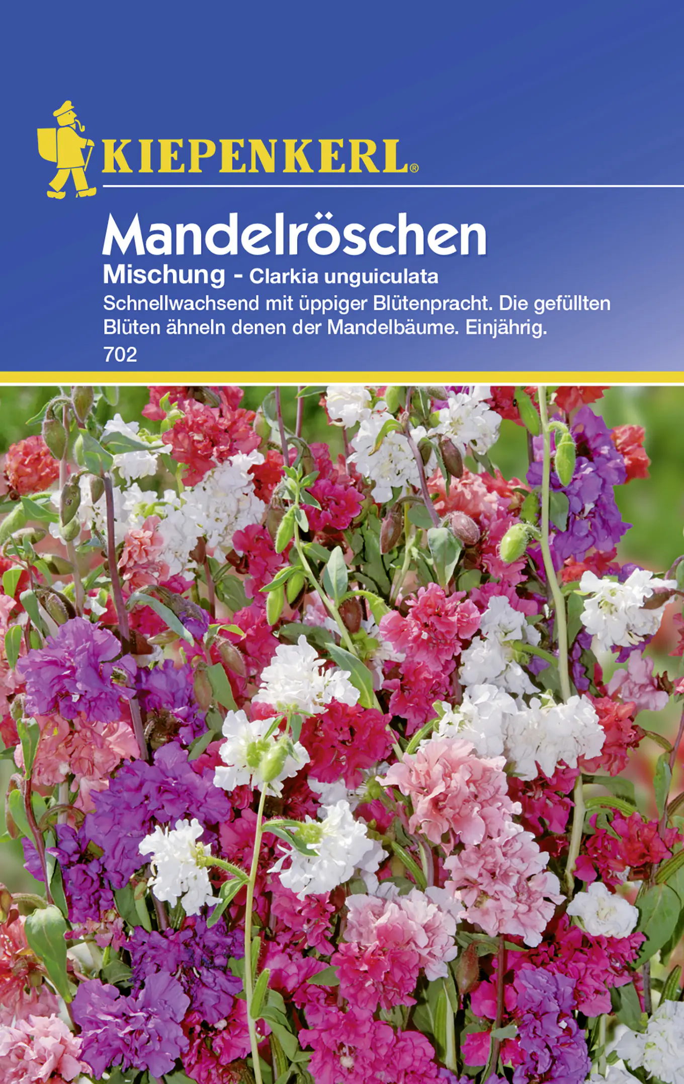 Kiepenkerl Mandelröschen Mischung Clarkia unguiculata, Inhalt: ca. 150 Pflanzen
