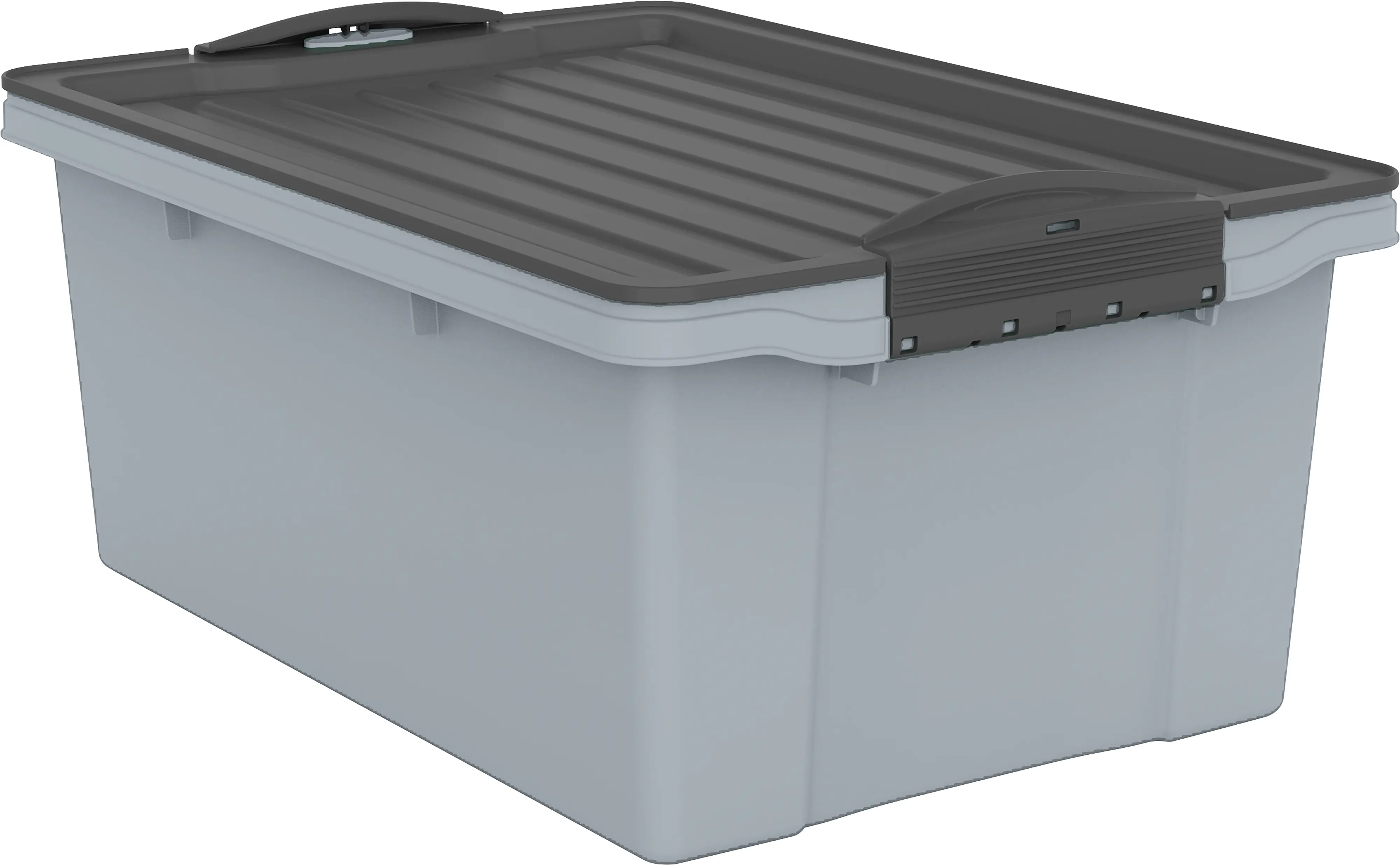 Rotho Aufbewahrungsbox Compact mit Deckel 39,5 x 27,5 cm 13 L misty blau