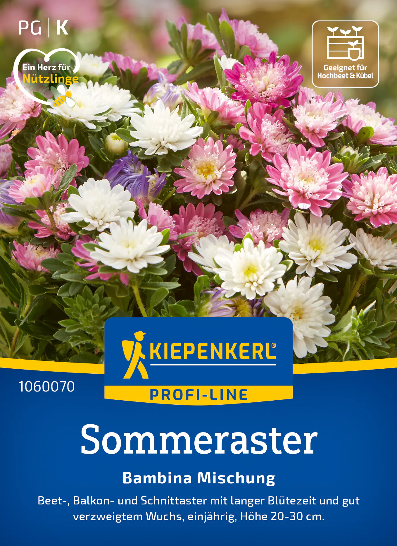 Kiepenkerl Profi-Line Saatgut Sommeraster Bambina Mischung