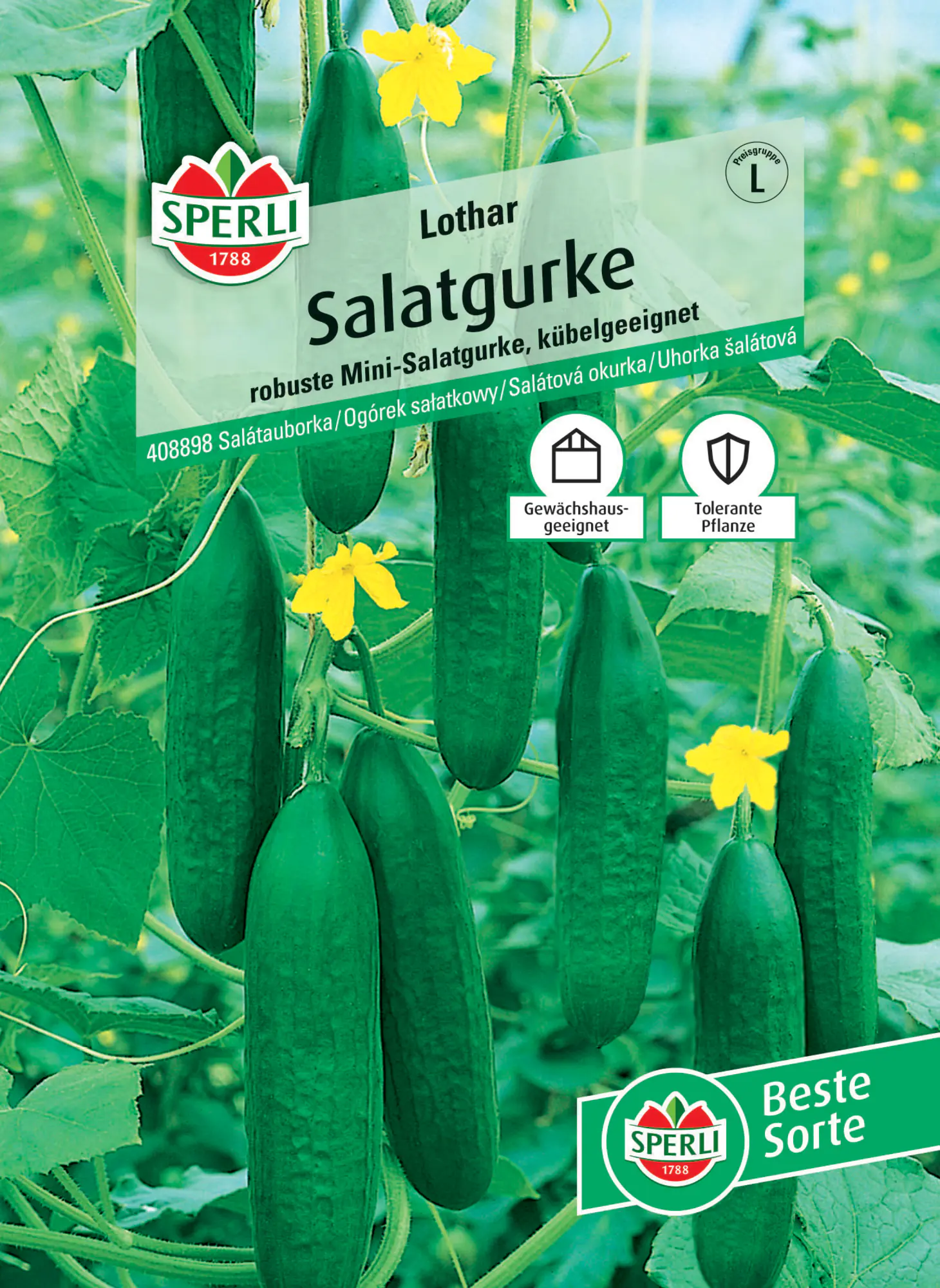 Sperli Salatgurke Lothar F1