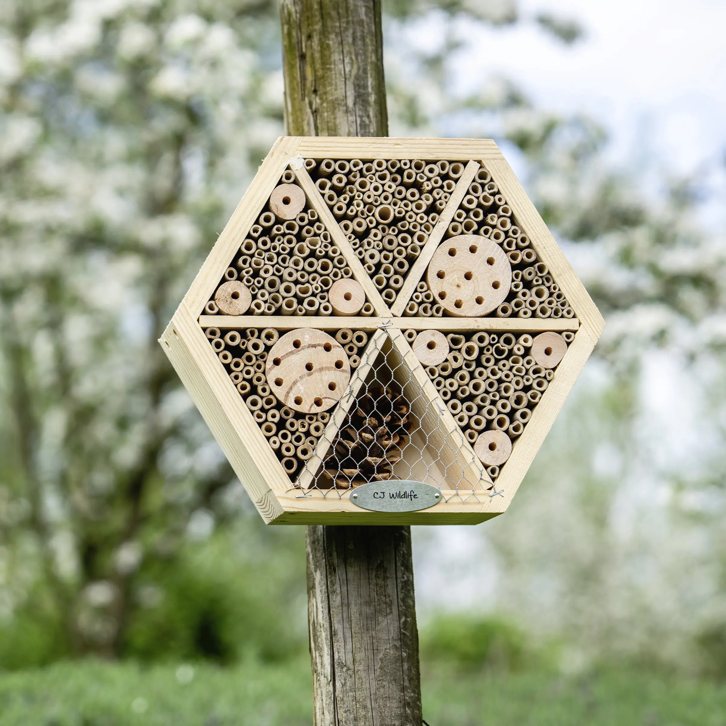 CJ Wildlife Insektenhaus Hexagon natur 25,1 x 25,1 cm