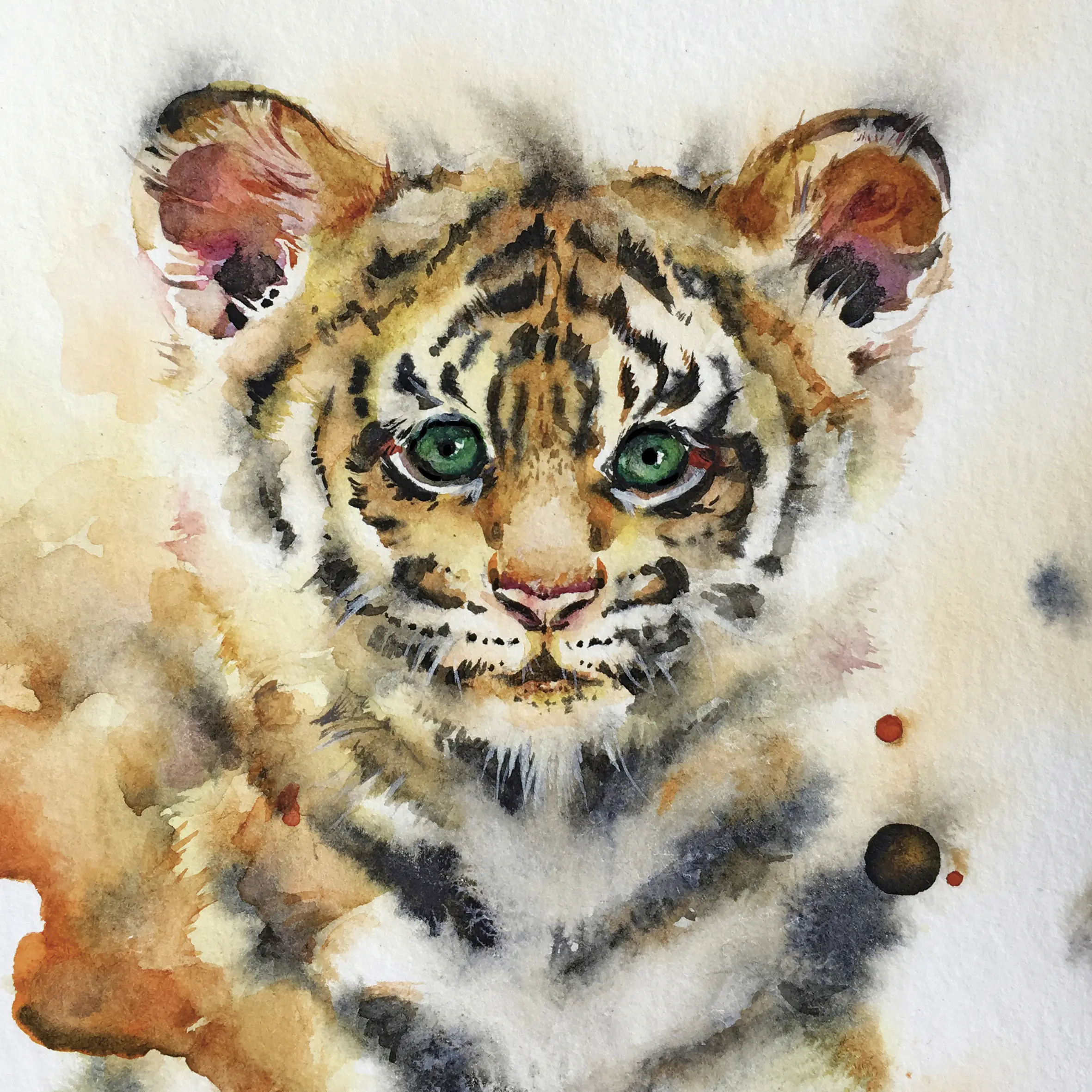 Keilrahmenbild Löwe 30 x 30 cm