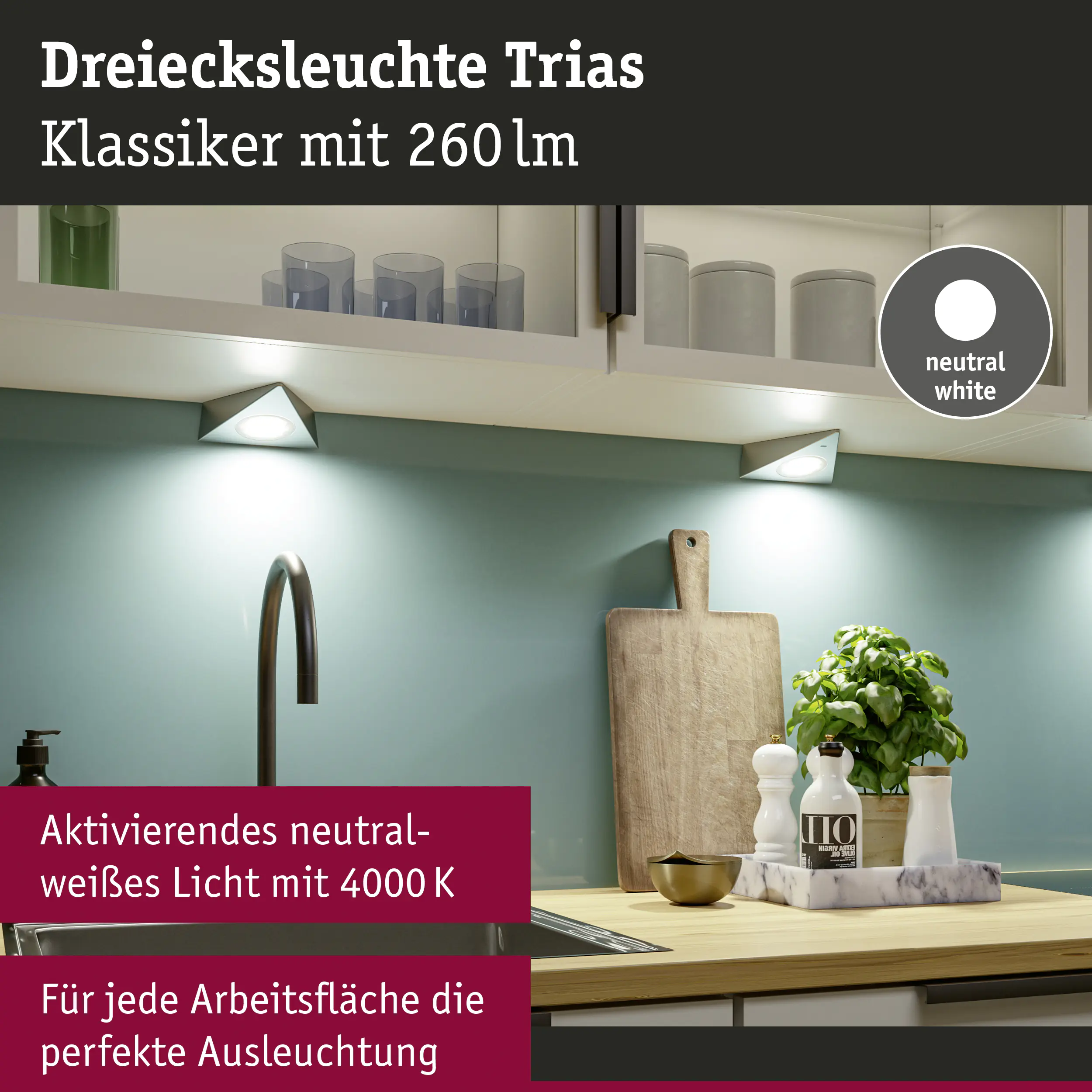 Paulmann LED Unterbauleuchte Trias eisen gebürstet neutralweiß 3 er Set Paulmann LED Unterbauleuchte Trias eisen gebürstet neutralweiß 3 er Set