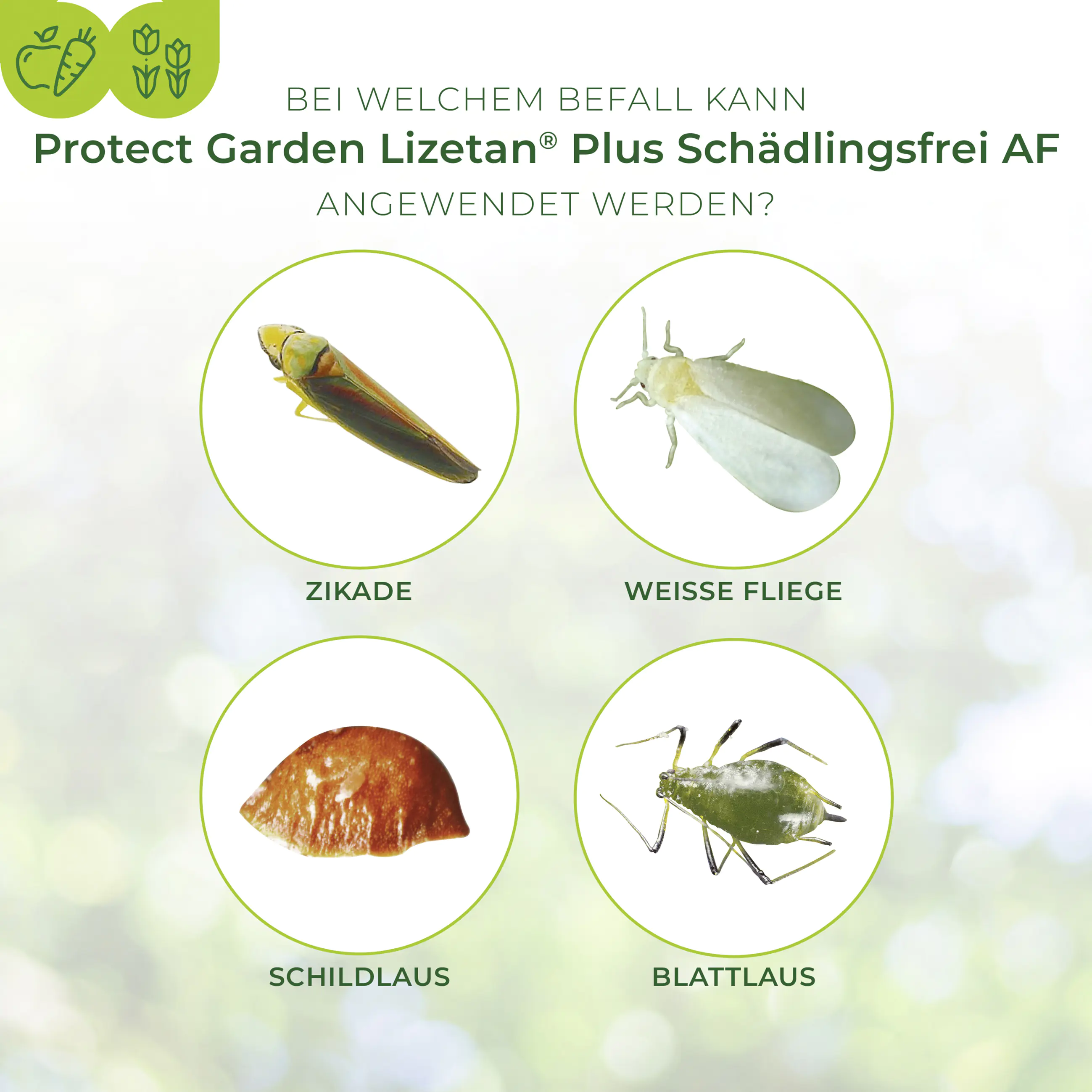Protect Garden Lizetan Plus Schädlingsfrei AF 3 l Protect Garden Lizetan Plus Schädlingsfrei AF 3 l