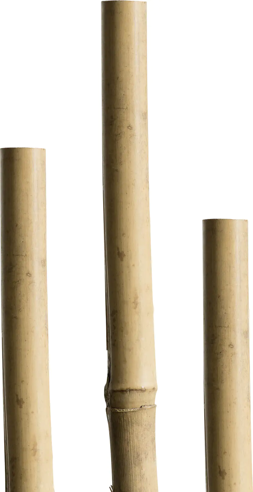 Windhager Tonkinstab 180 cm