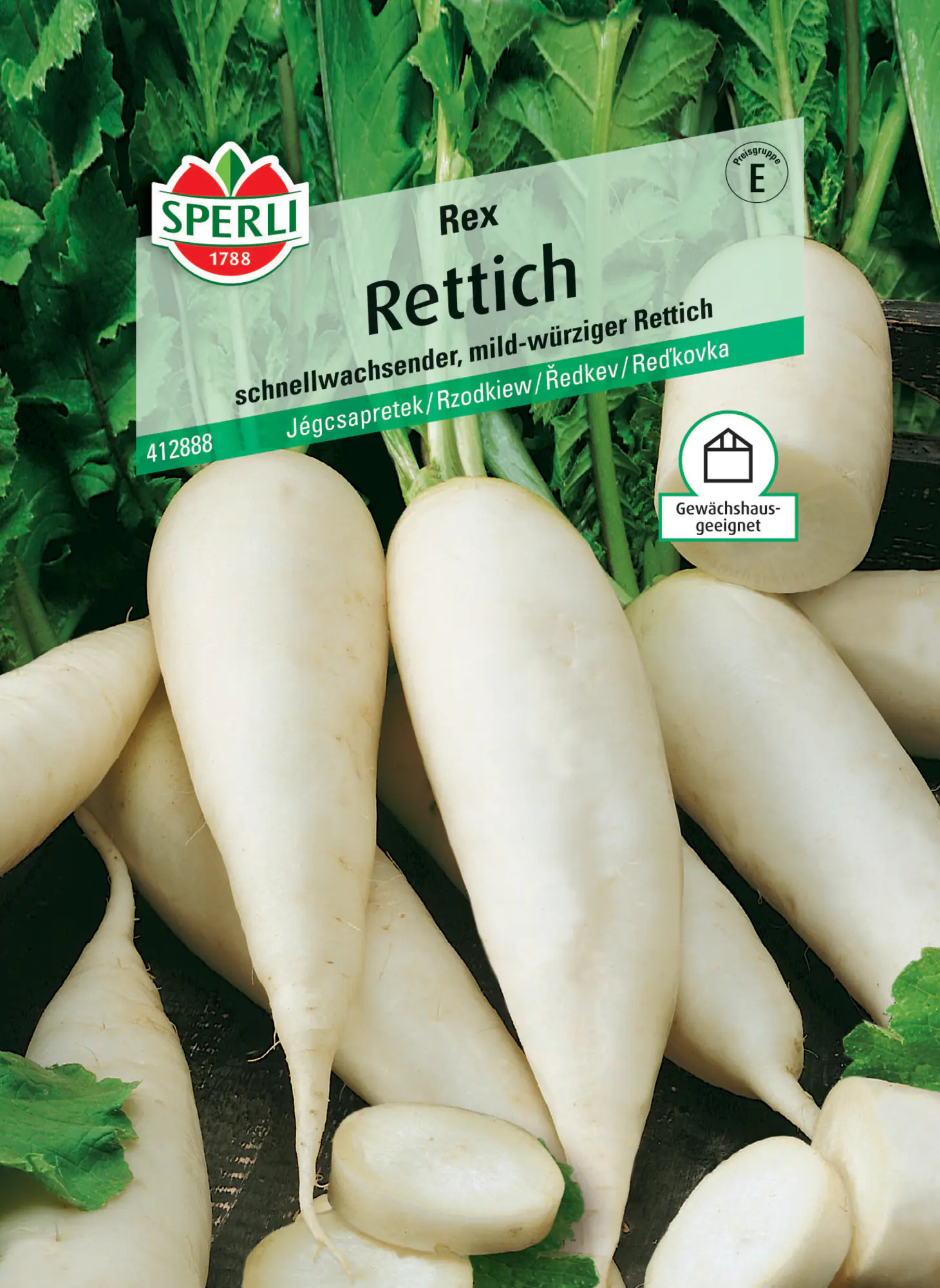 Sperli Rettich Rex