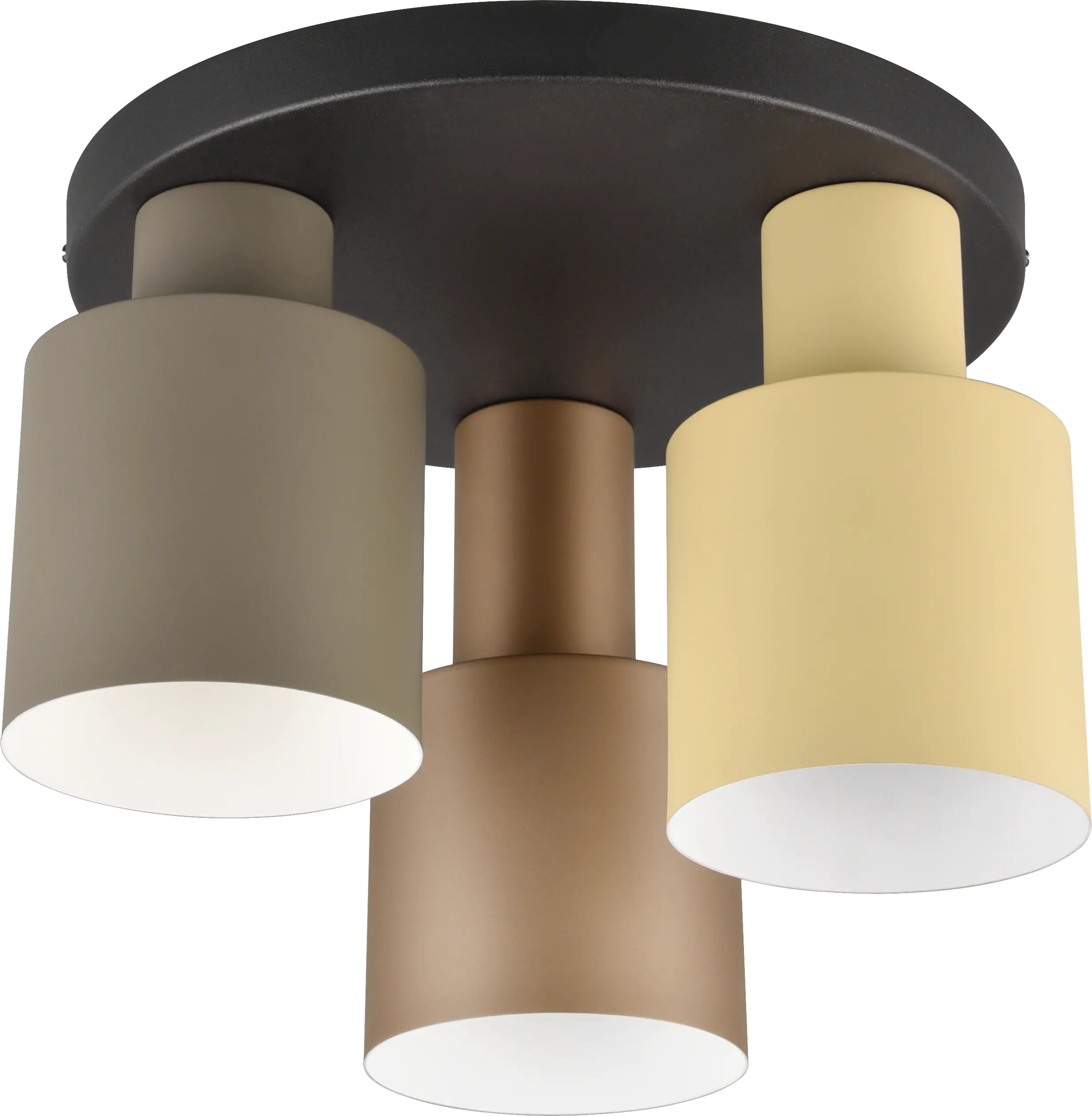 Trio Leuchten LED-Deckenleuchte Agudo E27 schwarz Metall