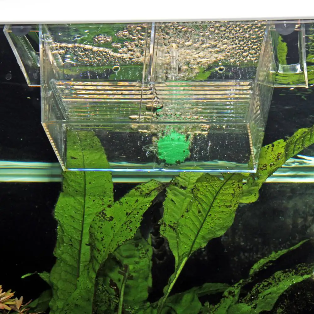 JBL Aquarienzubehör Aufzuchtbecken BabyHome proAir Ablaichkasten