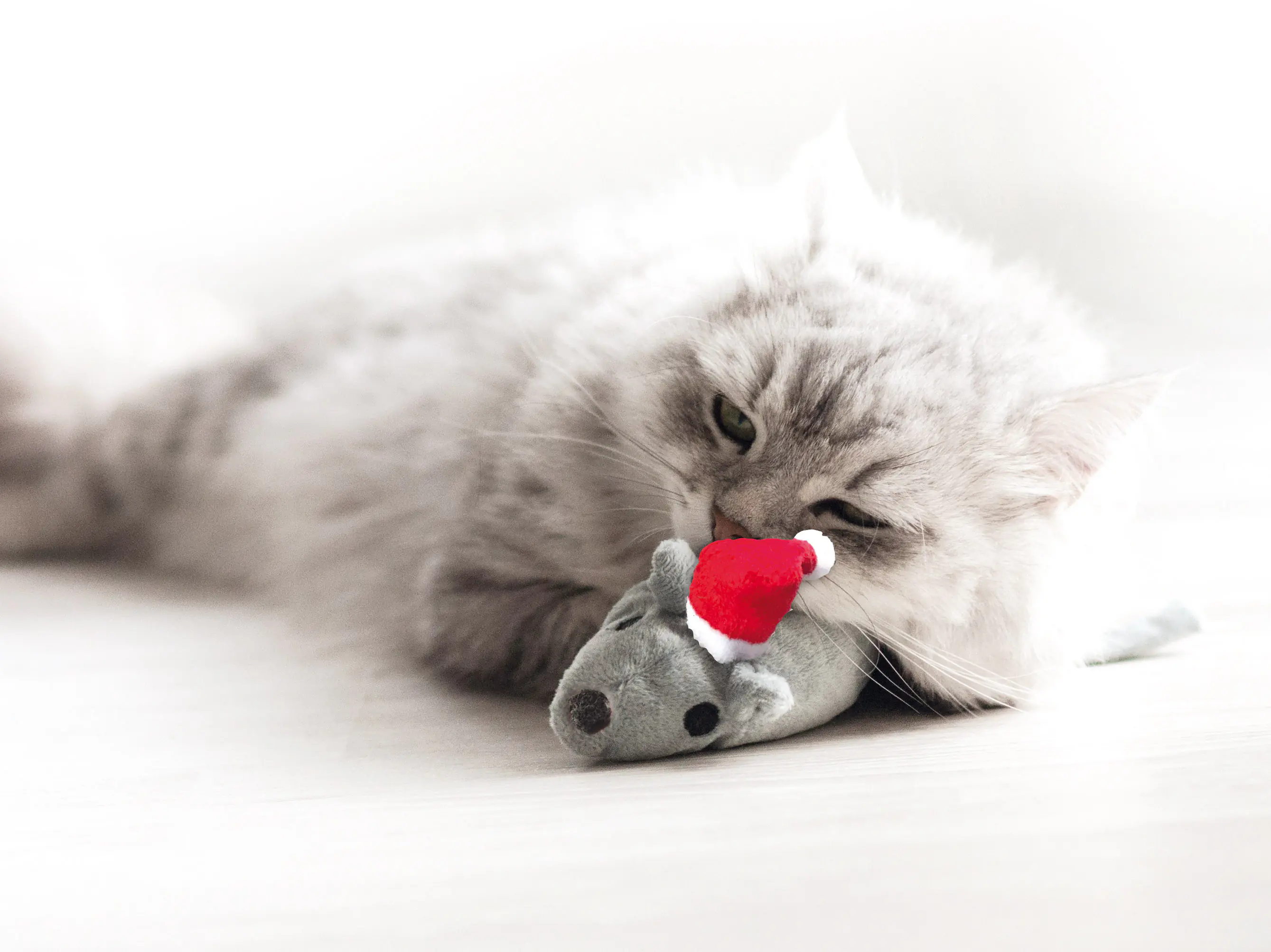 Aumüller Katzenspielzeug Weihnachtsmaus mit Baldrianwurzel