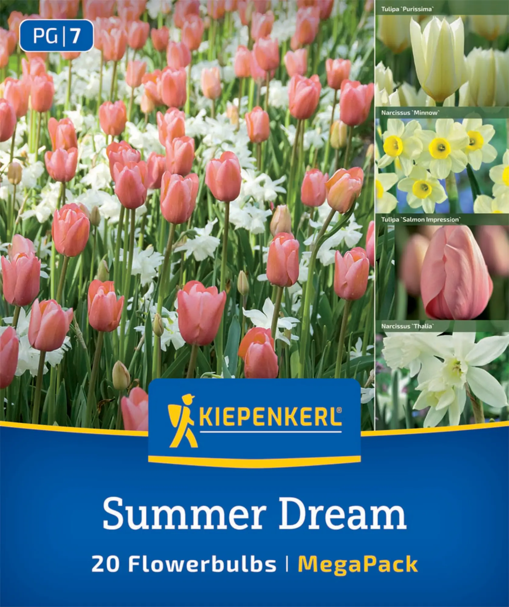 Kiepenkerl Herbstblumenzwiebel Artenmischung Summer Dream Mix 20 Stück