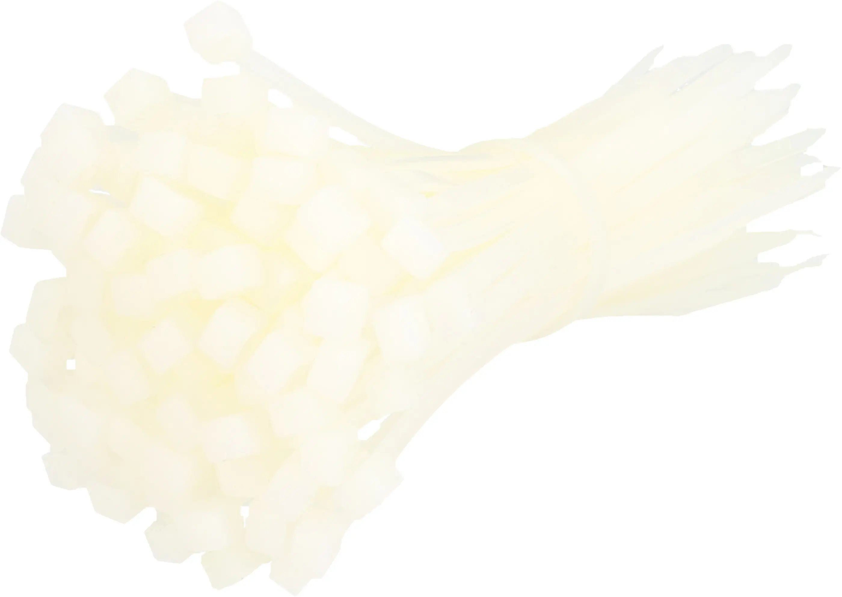 Unitec Kabelbinder 10 cm natur 100 Stück Unitec Kabelbinder 10 cm natur 100 Stück