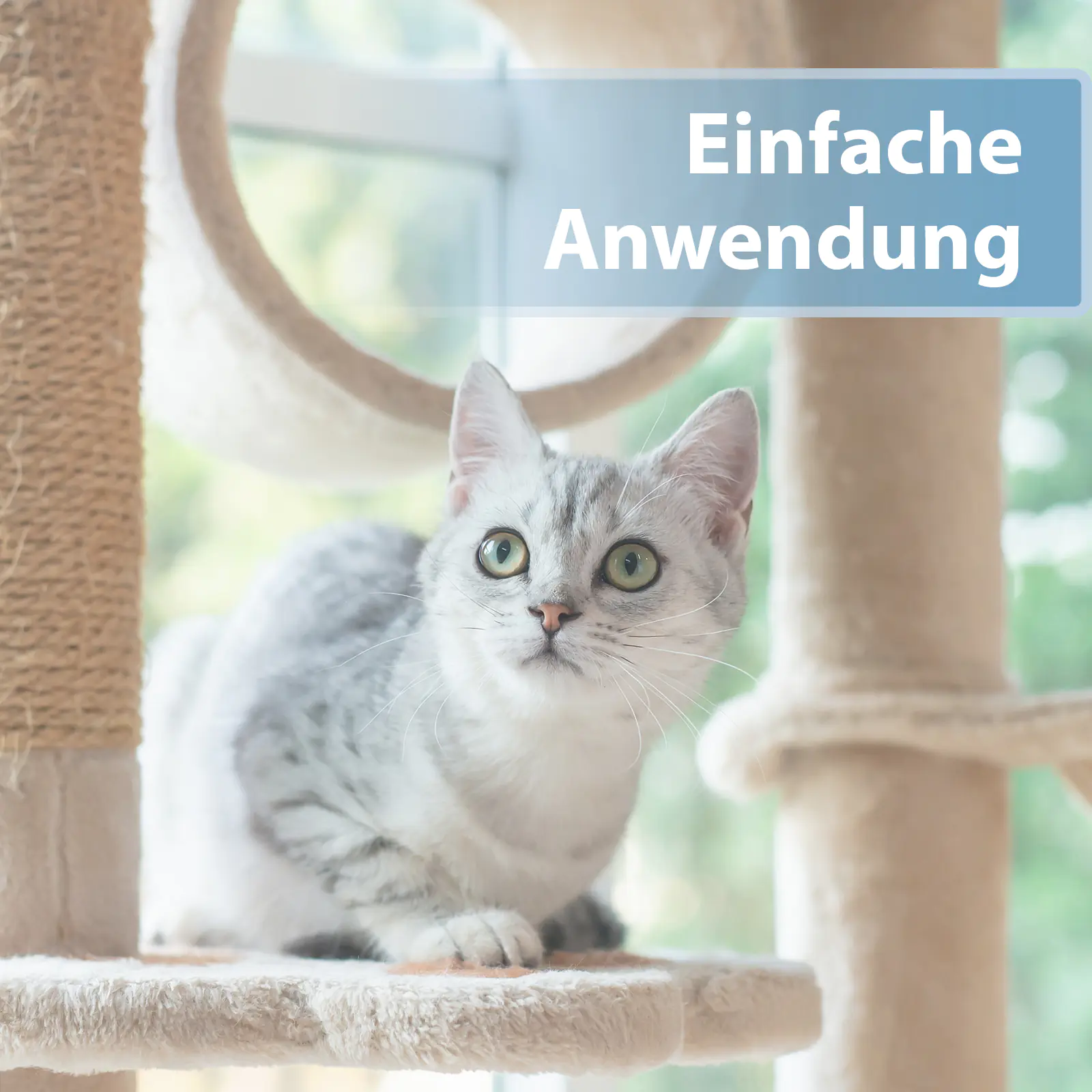 Felisept Ohrpflege Pads für Katzen 50 Stück Felisept Ohrpflege Pads für Katzen 50 Stück