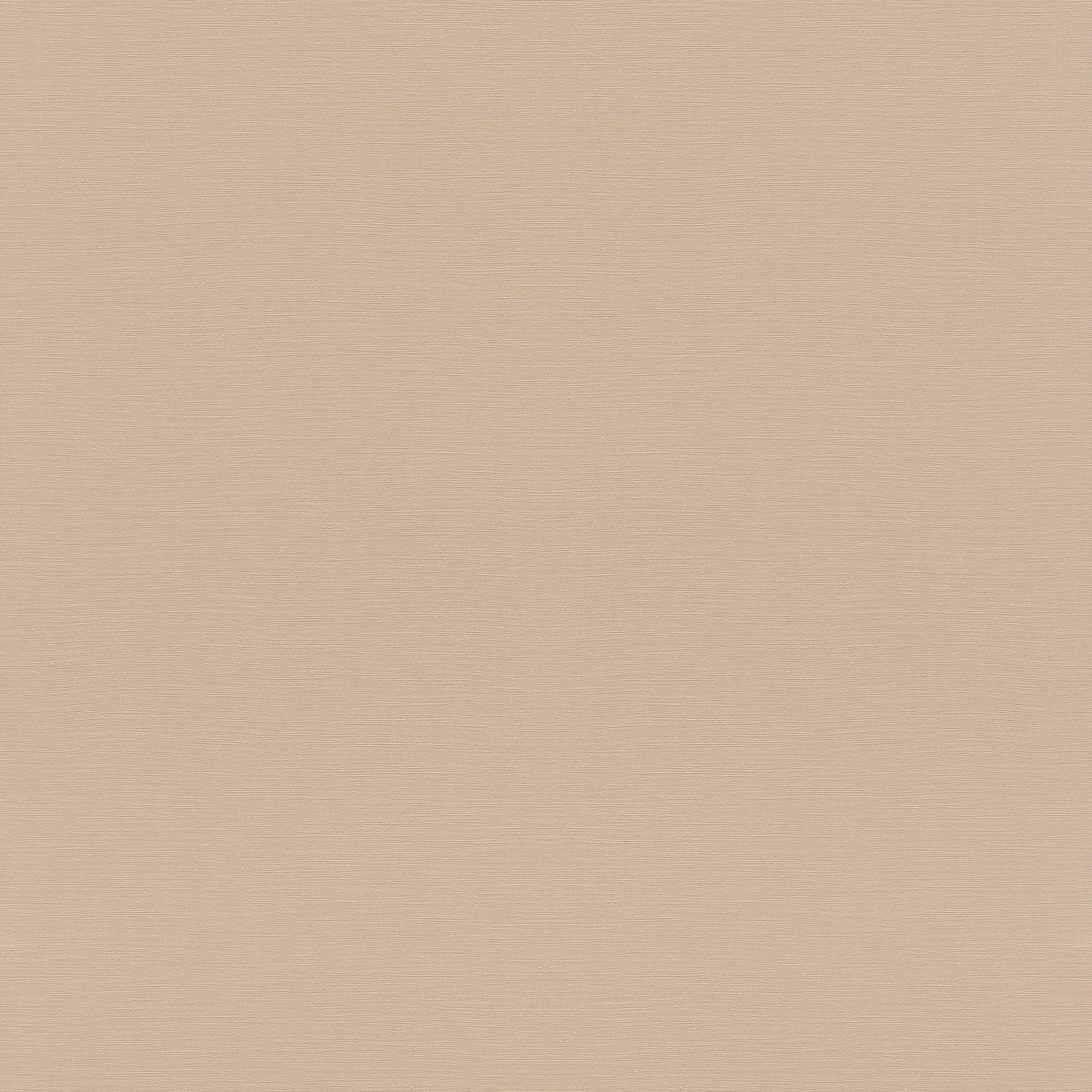 Rasch Vliestapete 687576 Tropical house uni orange, 10,05 x 053 m Rasch Vliestapete 687576 Tropical house uni orange, 10,05 x 053 m