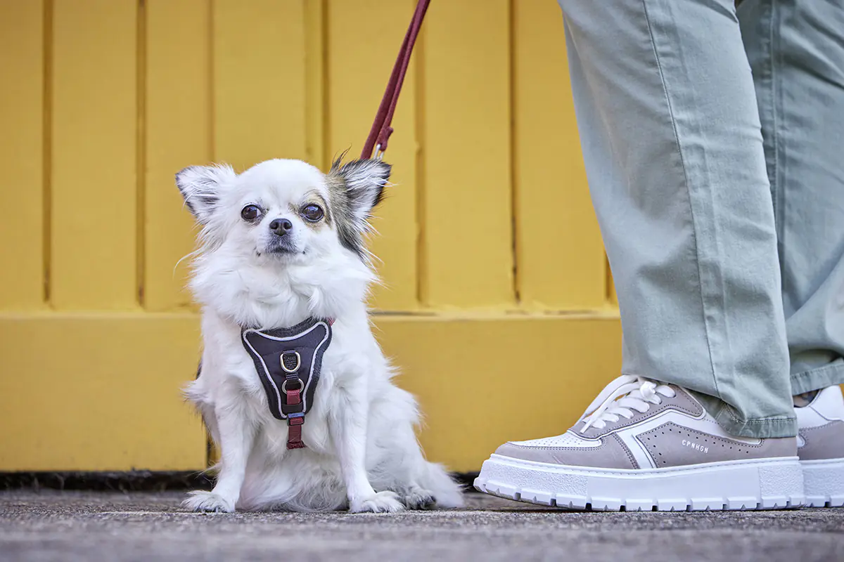 Wolters Hundegeschirr Professional Comfort rost rot