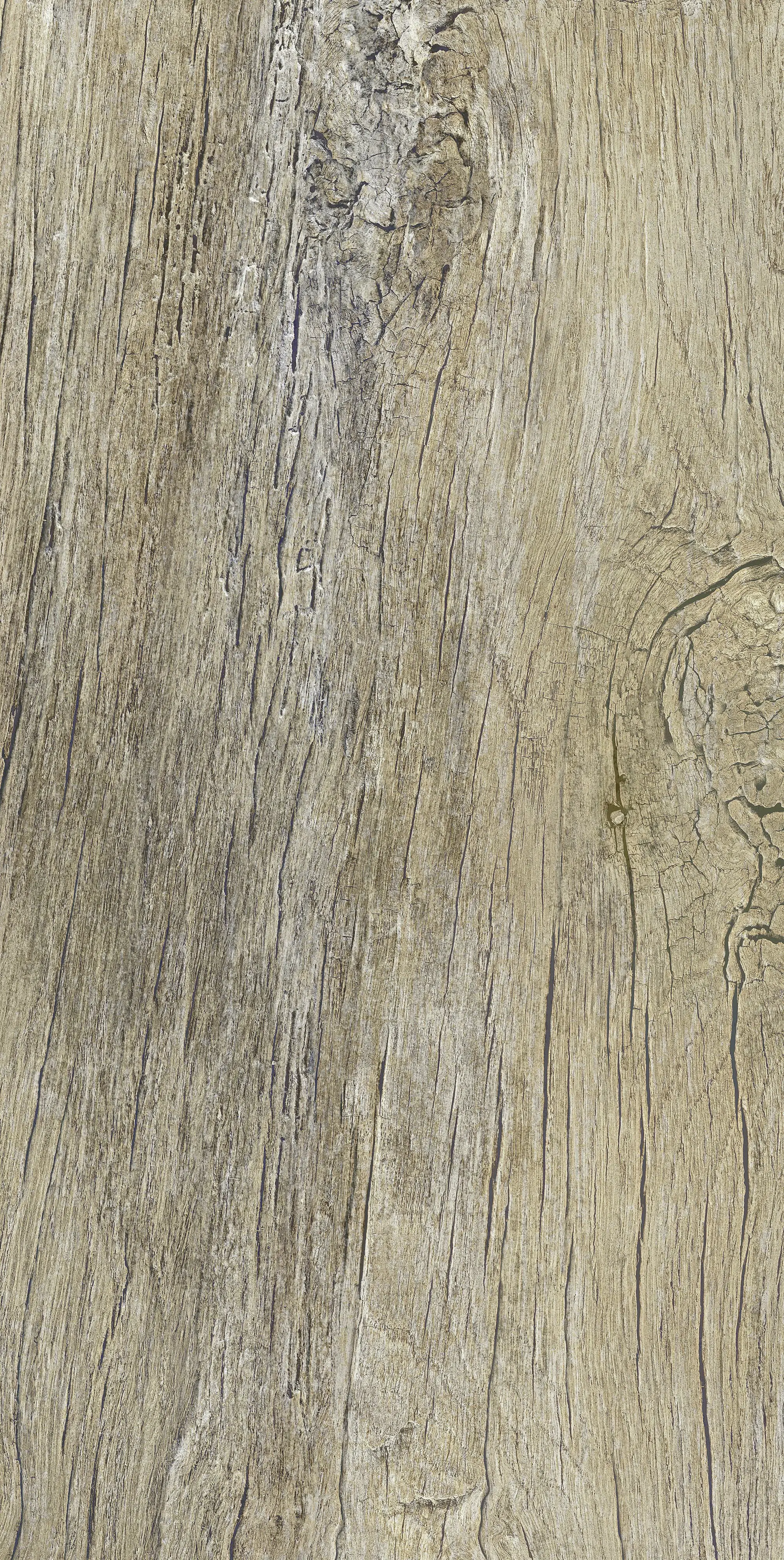 Bodenfliese Feinsteinzeug Radice 31 x 62 cm beige Bodenfliese Feinsteinzeug Radice 31 x 62 cm beige