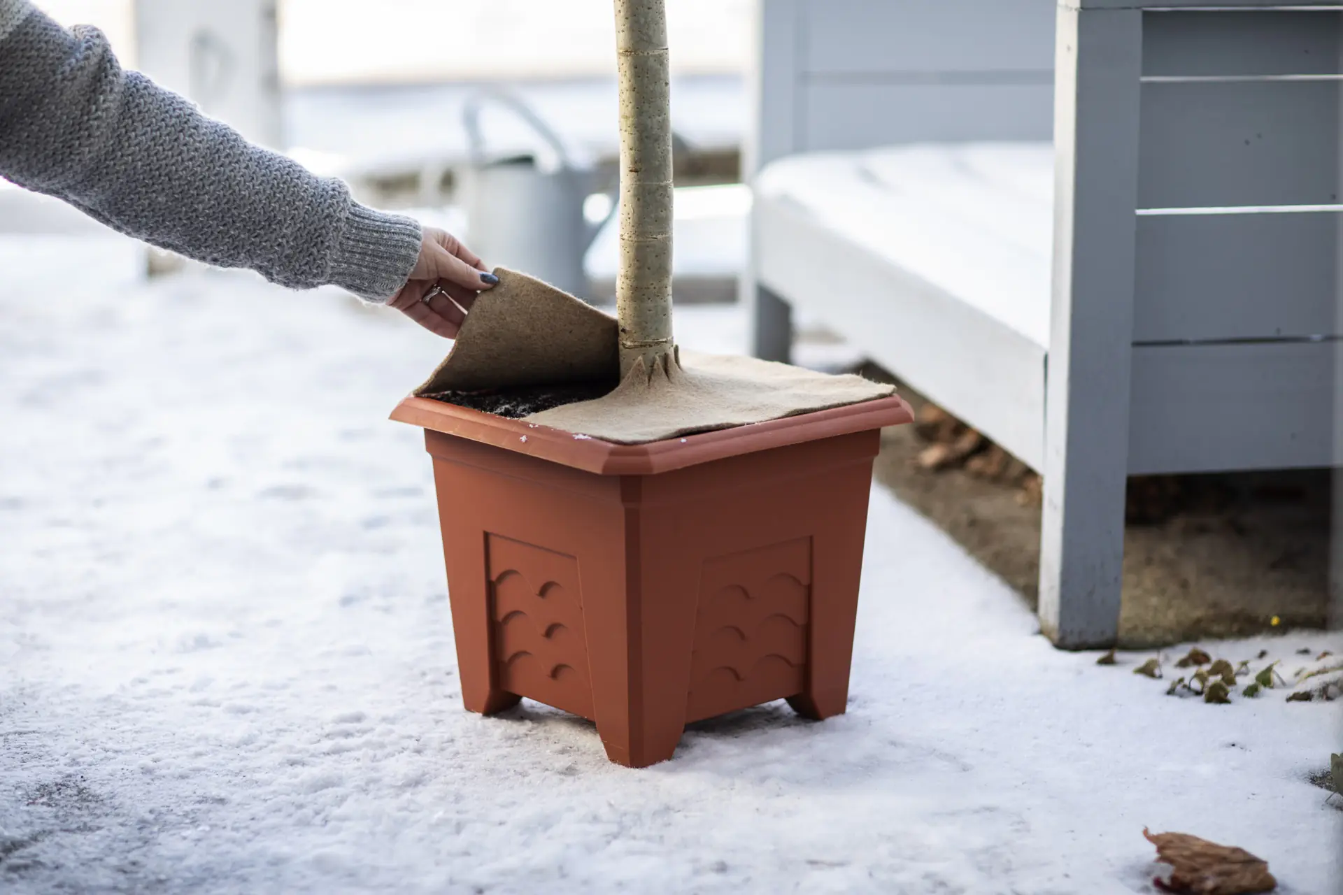 Windhager Mulchscheibe JUTE 30 x 30 cm natur Windhager Mulchscheibe JUTE 30 x 30 cm natur