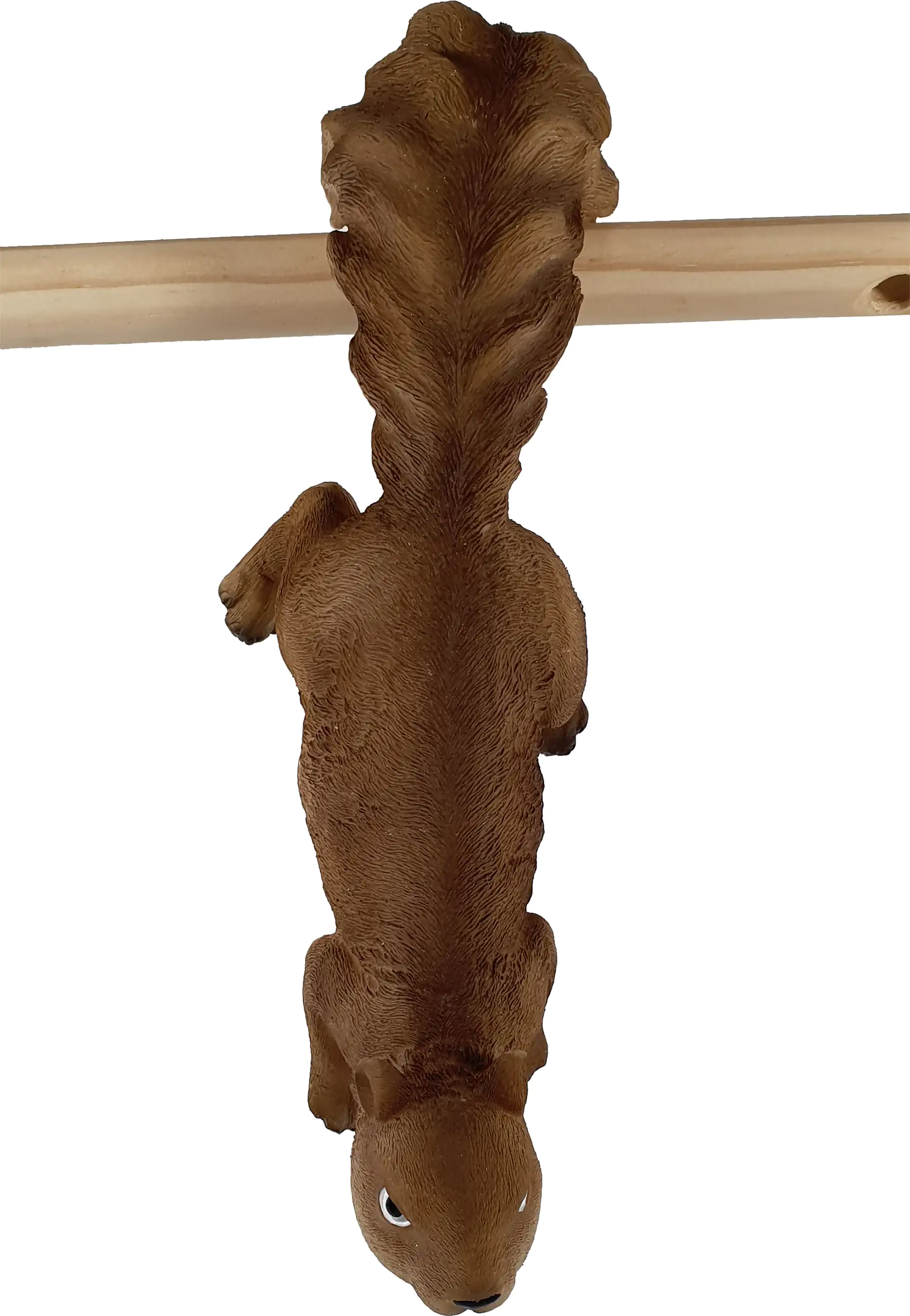 Dekofigur Eichhörnchen 31 x 10 x 10 cm