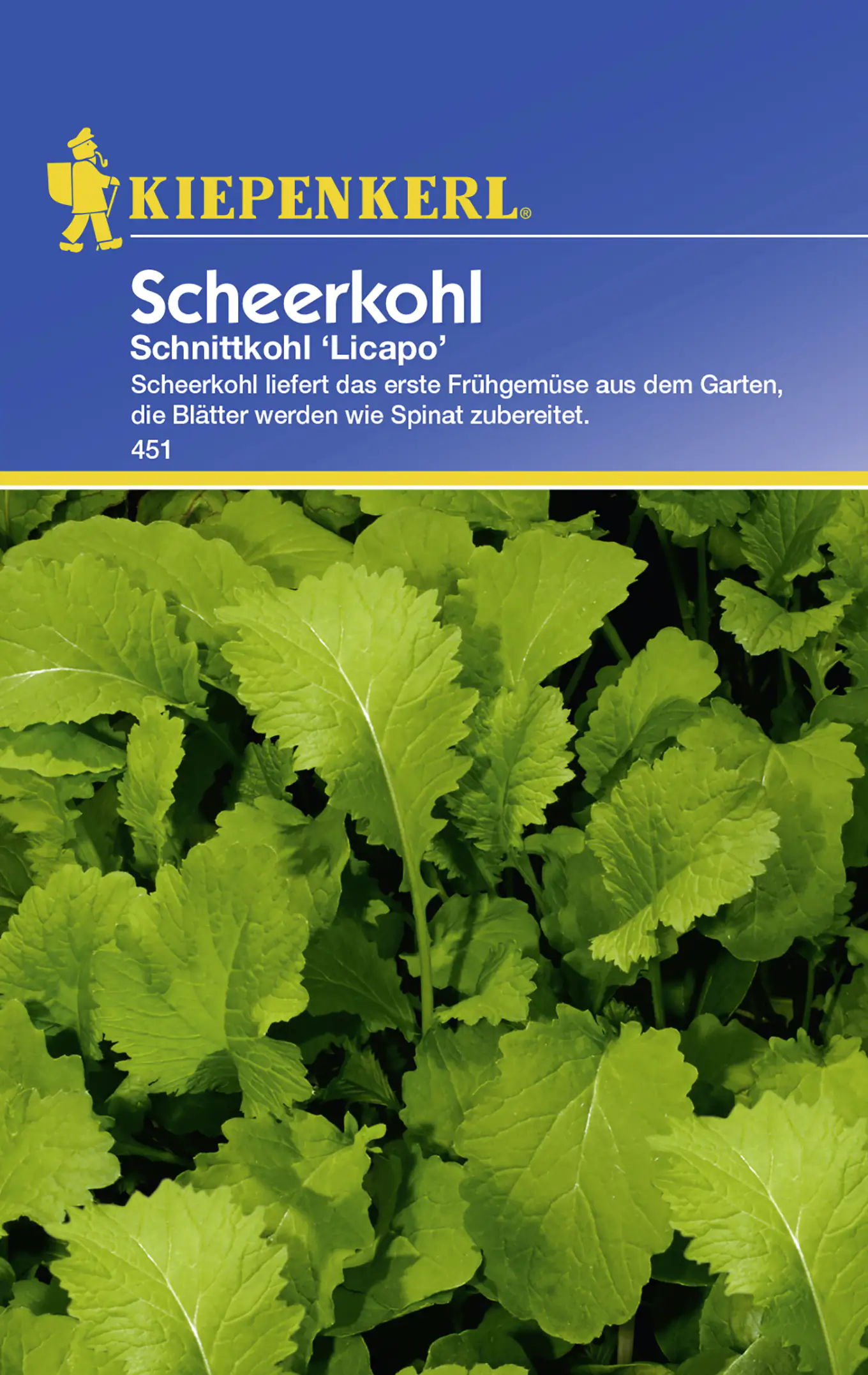 Kiepenkerl Scheerkohl Licapo Brassica napus var. Pabularia, Inhalt: 8 m²