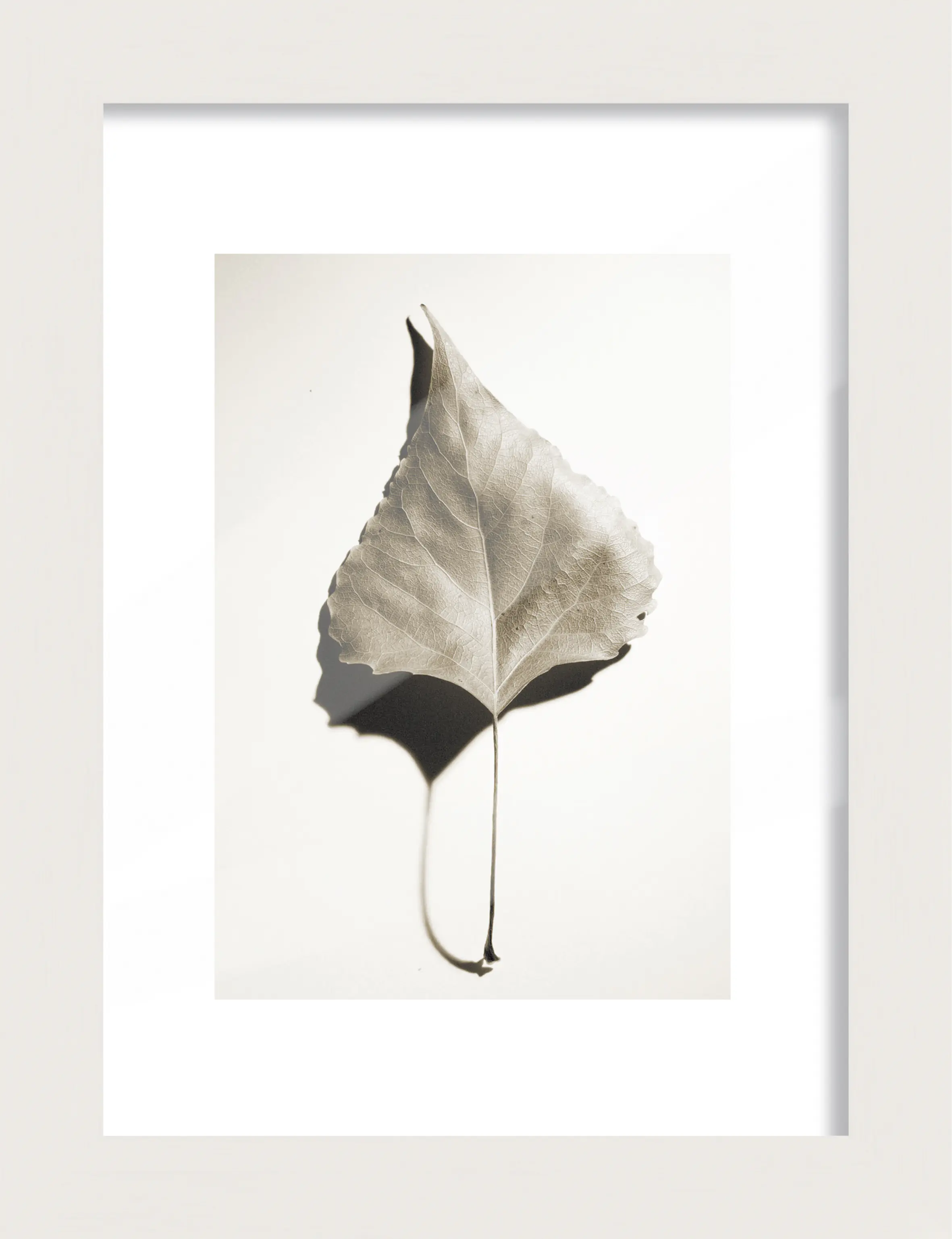 Bilderrahmen Holz Luzern weiß 13 x 18 cm 